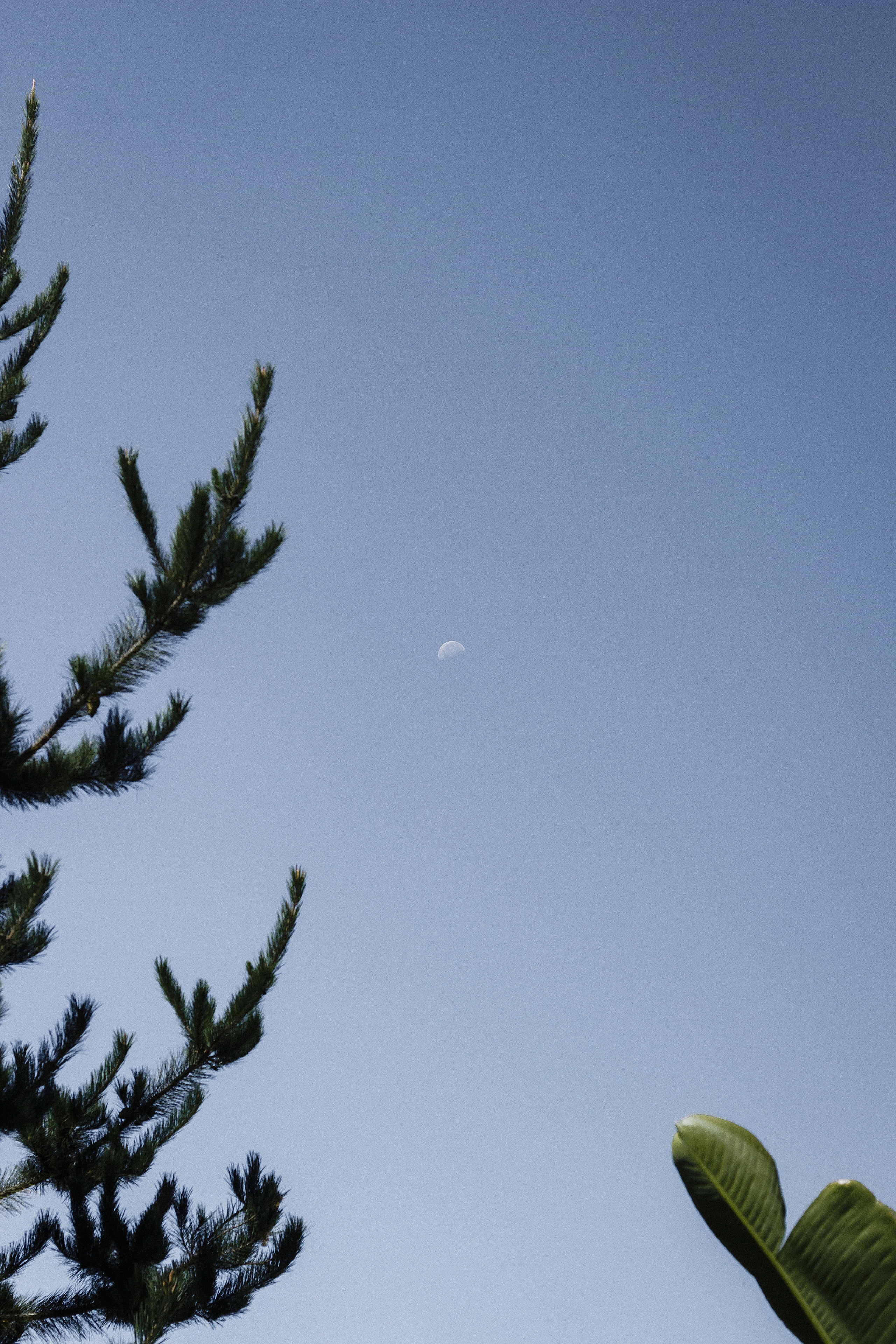 Rut & Ruben. Fotógrafo en Tenerife Edgar Zubarev