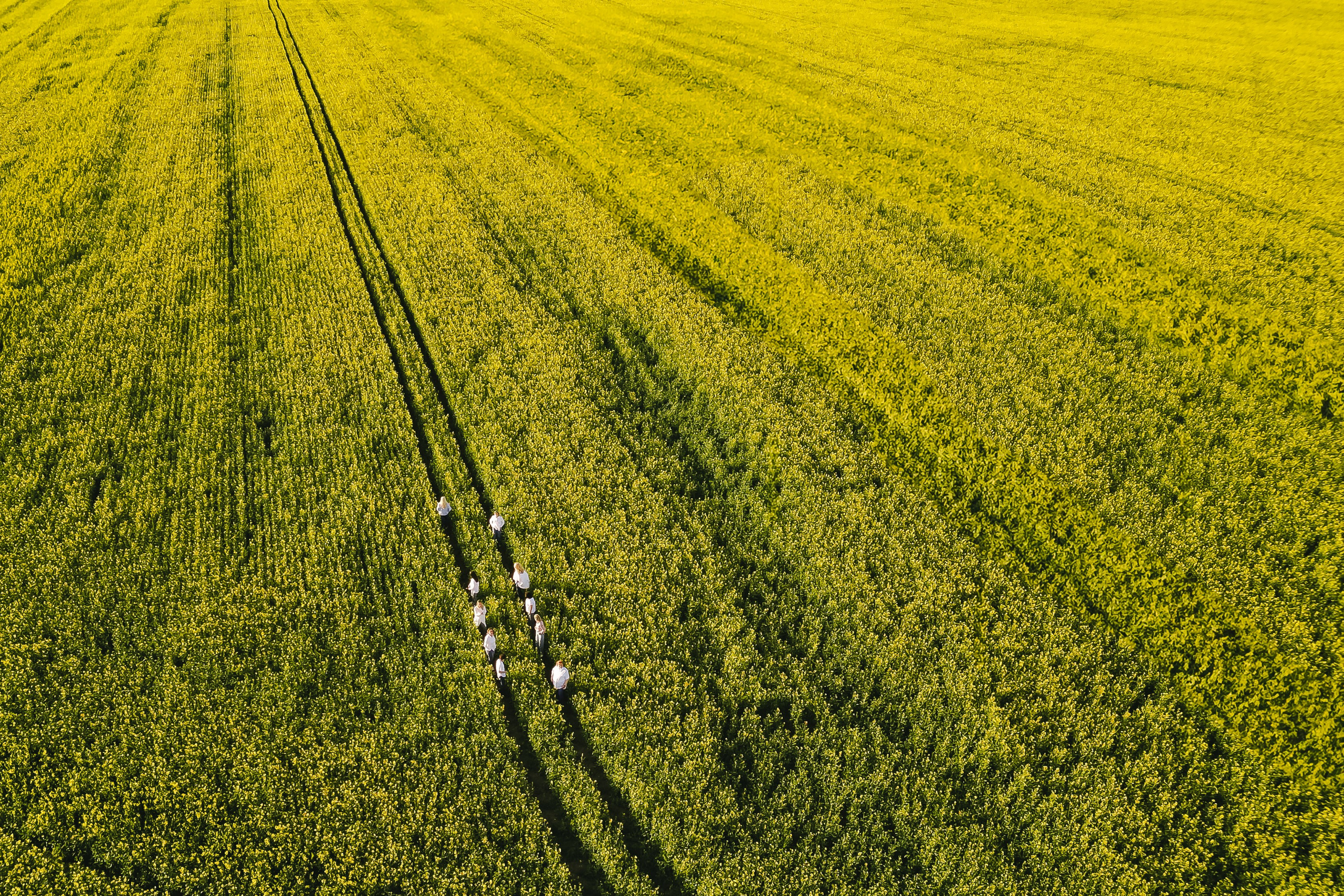 Vokalinio ansamblio “Gegužė” kolektyvas. Rokas Baranauskas fotografija