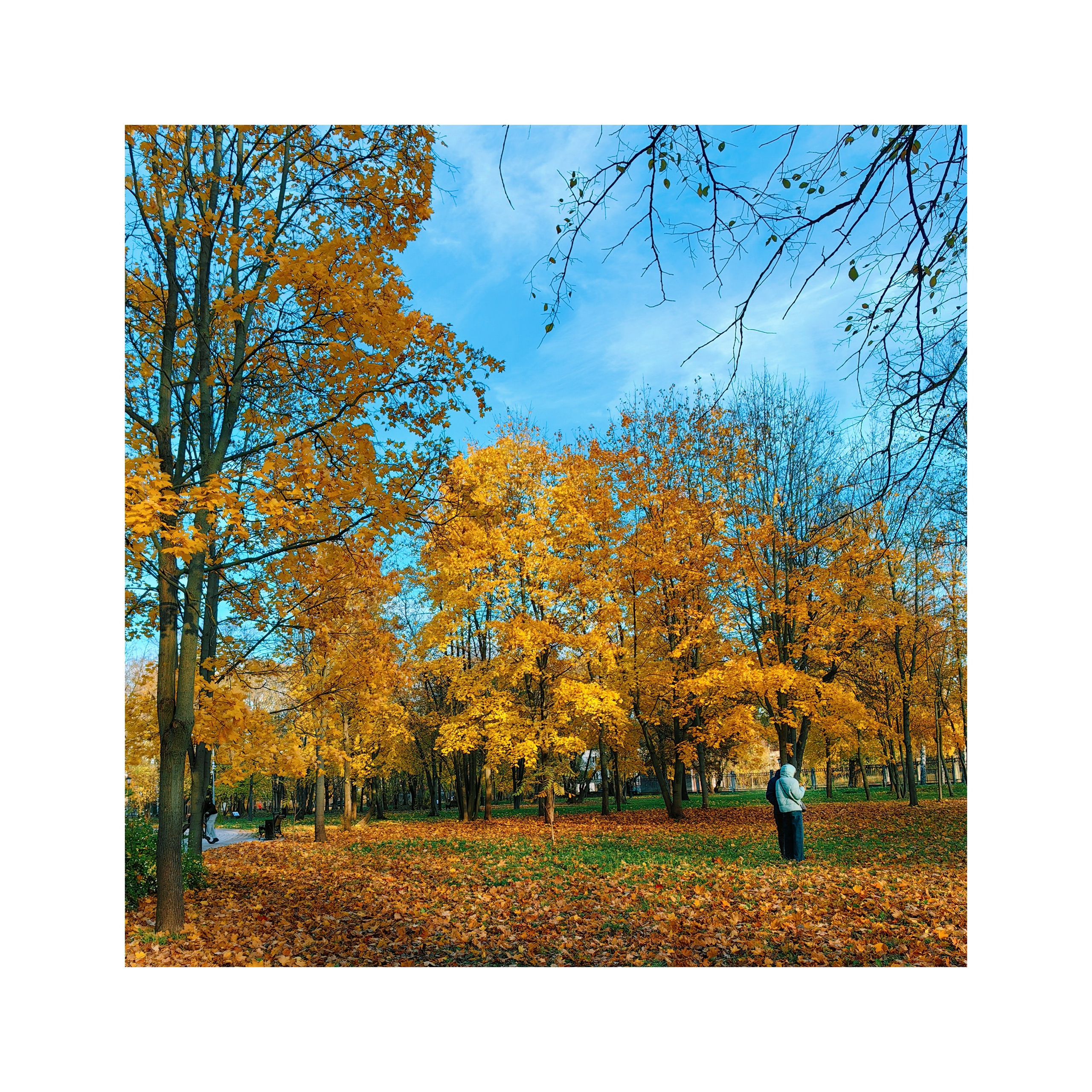 Череповец.2024. «Фотохроники»