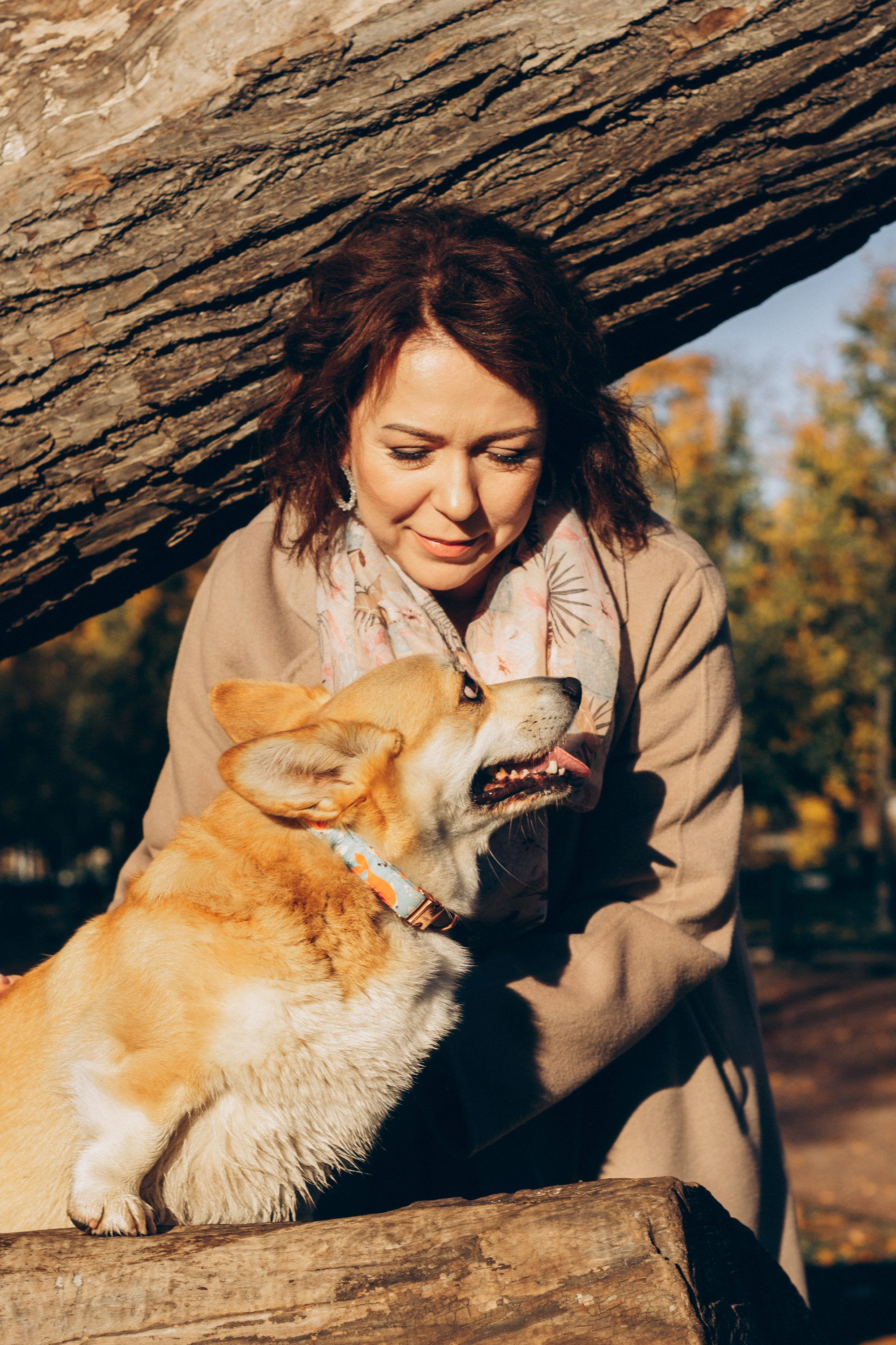 Irina and her Teffy, Pembroke Welsh Corgi. Kat Laisaar — Pet photographer in Tallinn