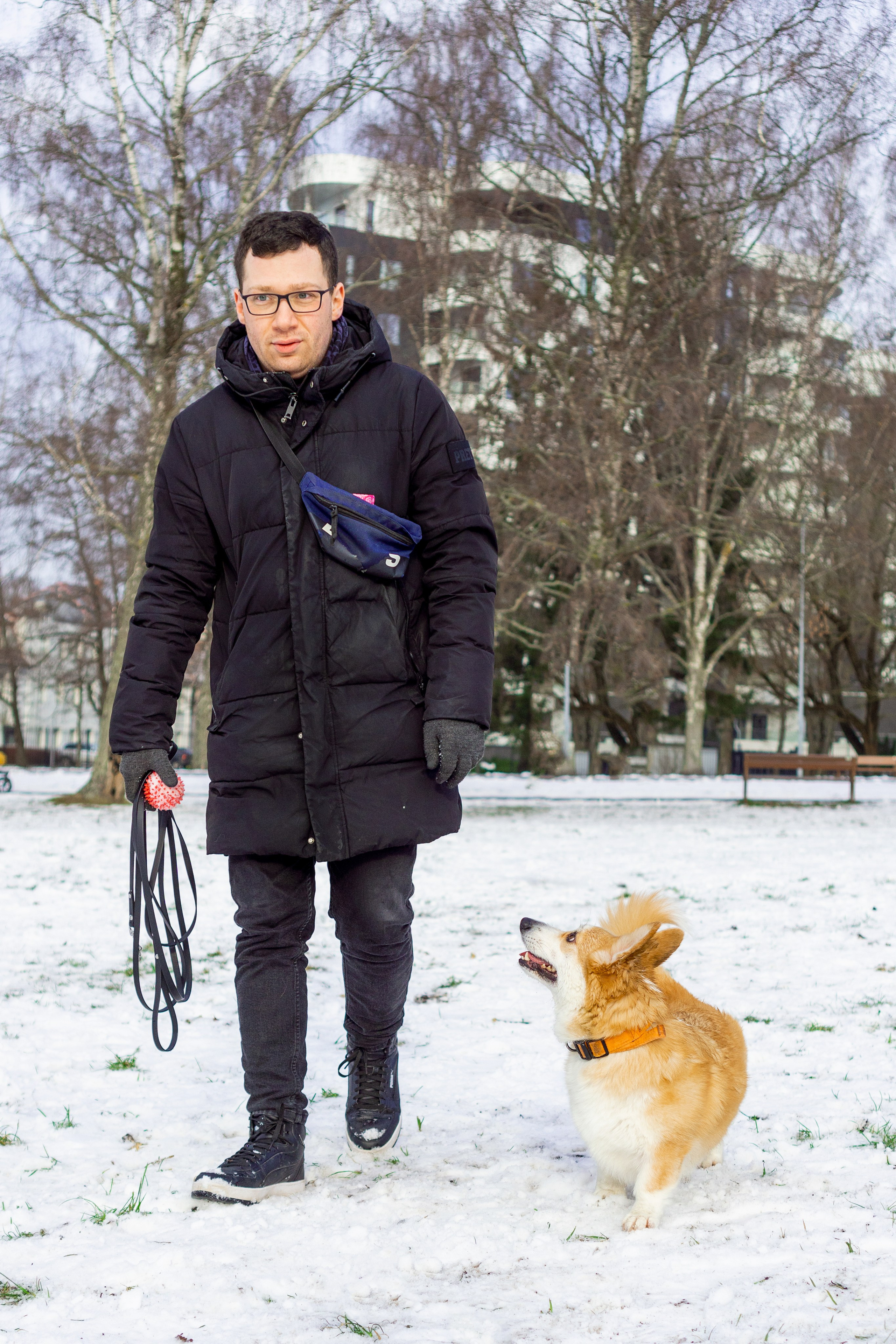 Corgi party, 23 feb. 2025. Kat Laisaar — Pet photographer in Tallinn