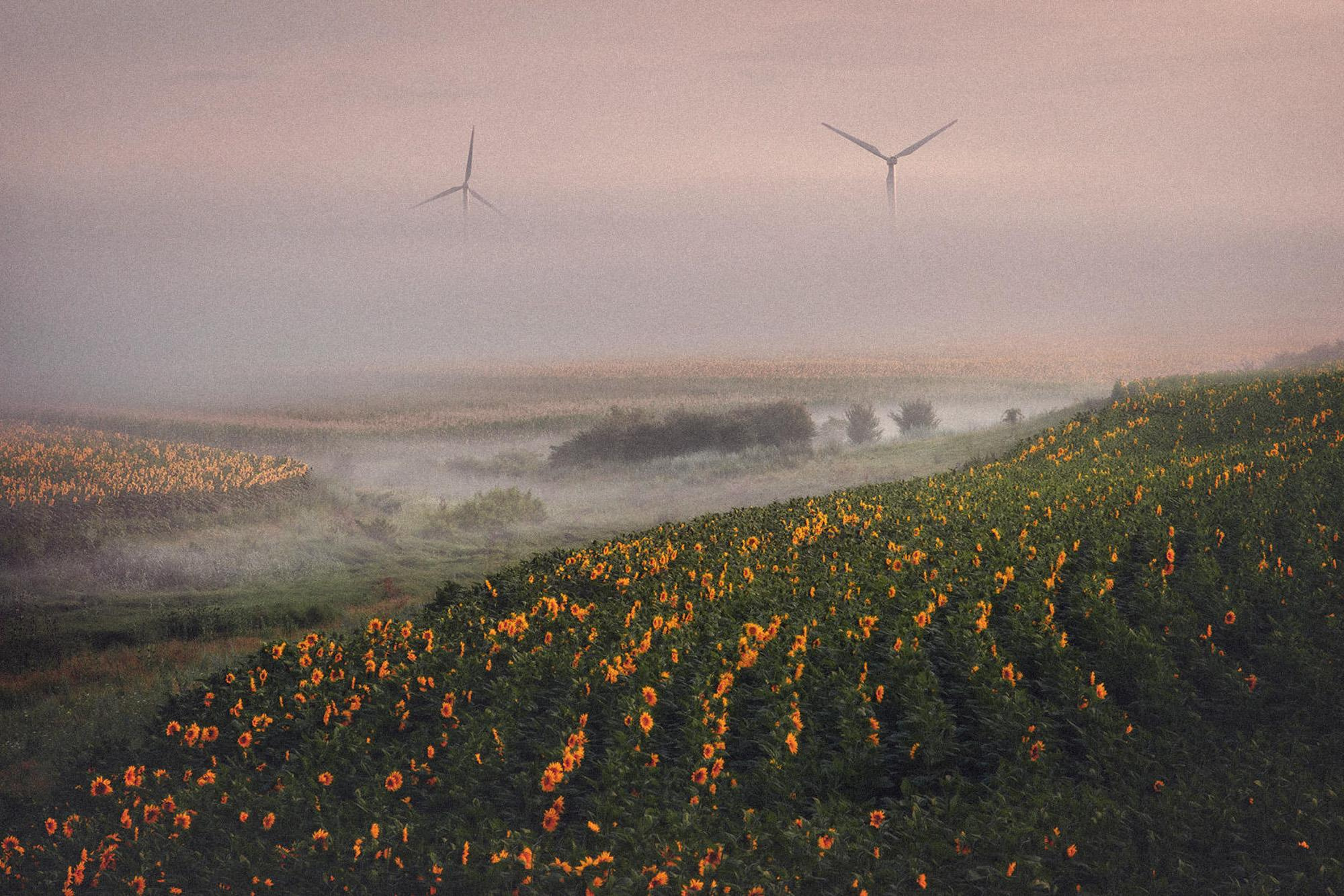 Пейзажная фотография Молдова. Recstudiofilm — Фото видео услуги на свадьбу в Молдове