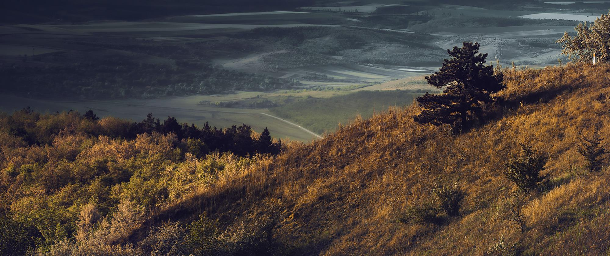 Пейзажная фотография Молдова. Recstudiofilm — Фото видео услуги на свадьбу в Молдове