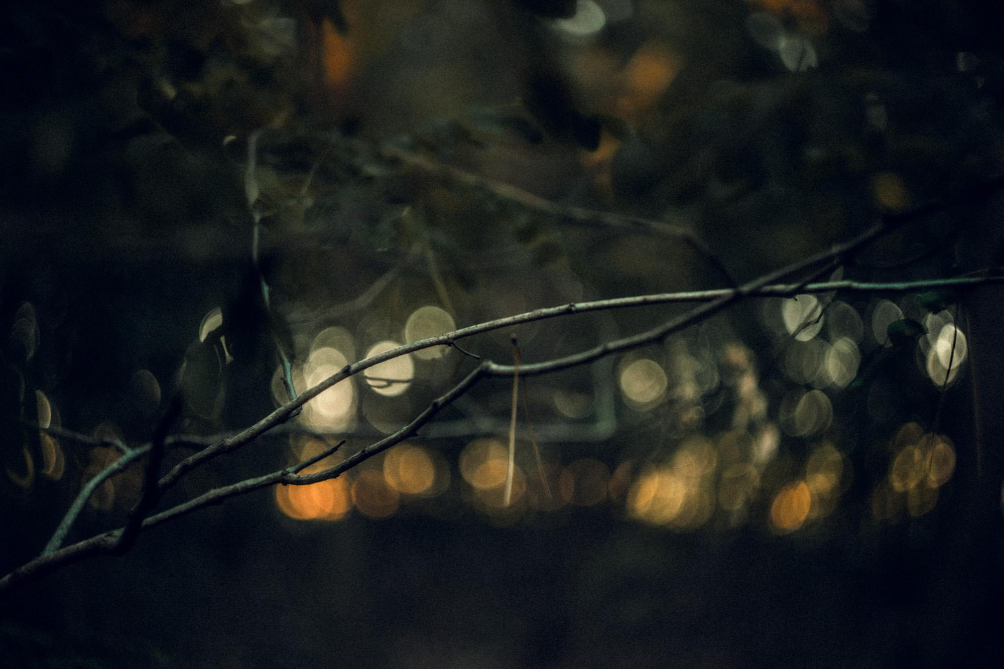 Пейзажная фотография Молдова. Recstudiofilm — Фото видео услуги на свадьбу в Молдове