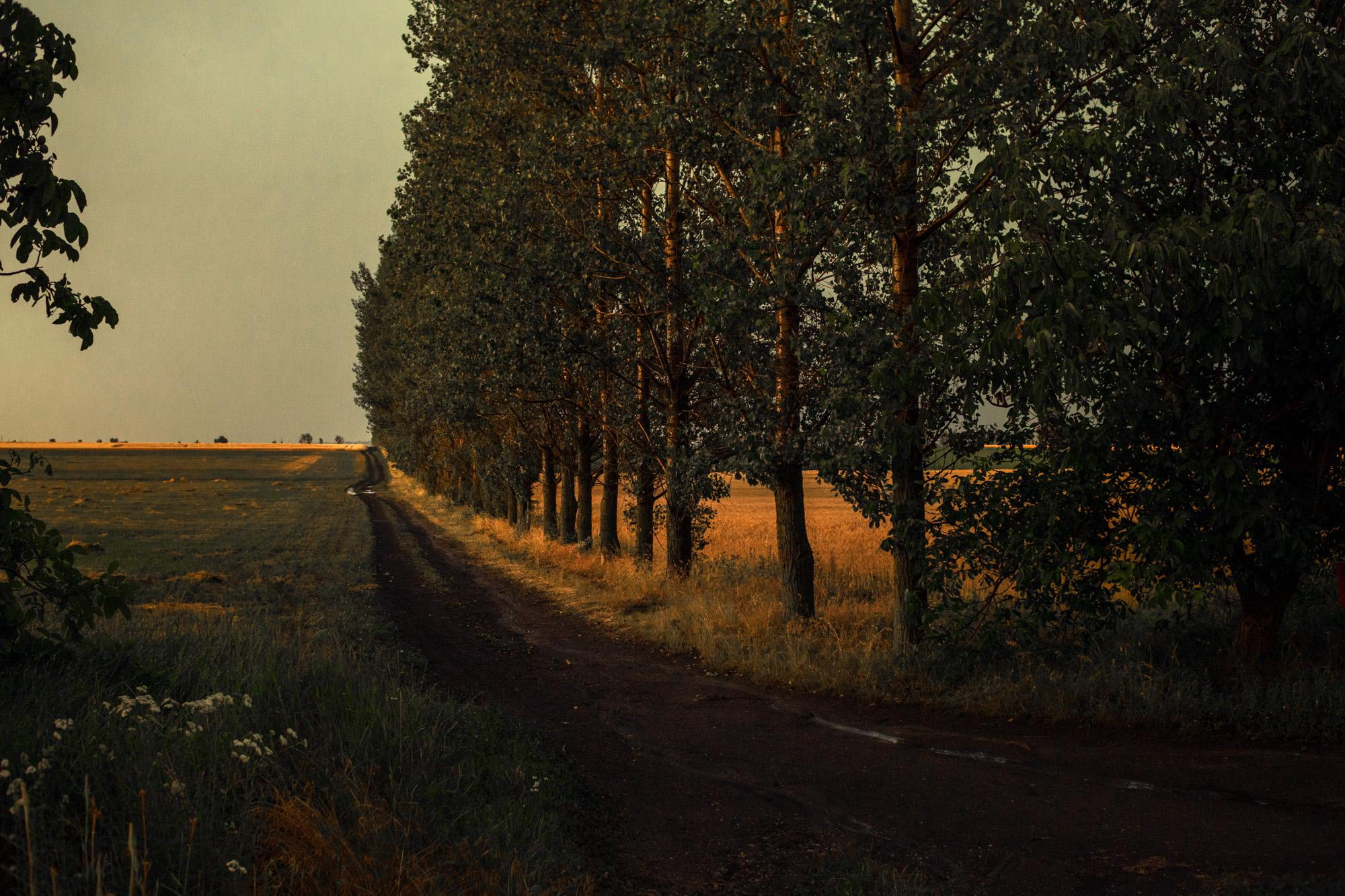 Пейзажная фотография Молдова. Recstudiofilm — Фото видео услуги на свадьбу в Молдове