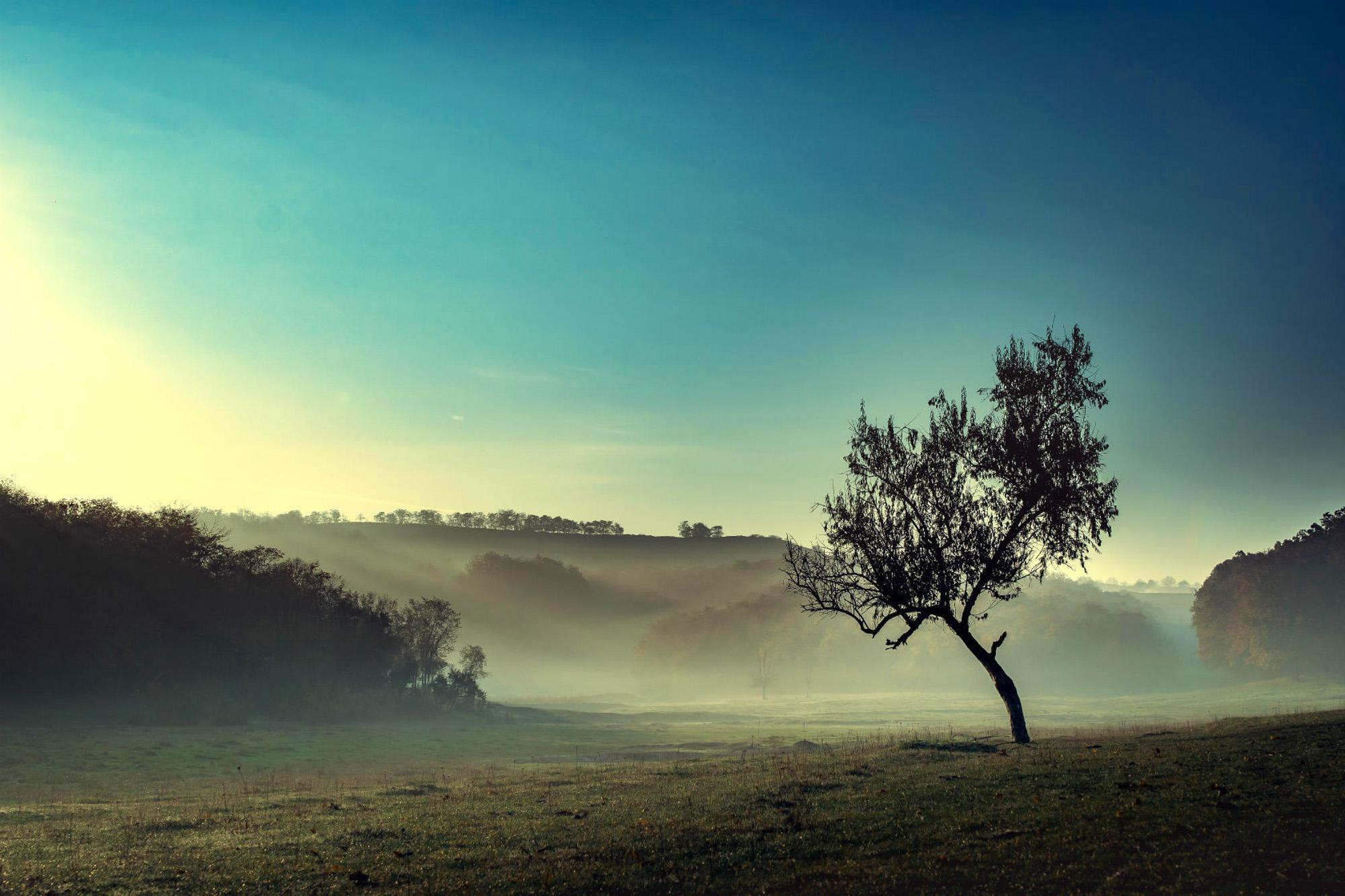 Пейзажная фотография Молдова. Recstudiofilm — Фото видео услуги на свадьбу в Молдове