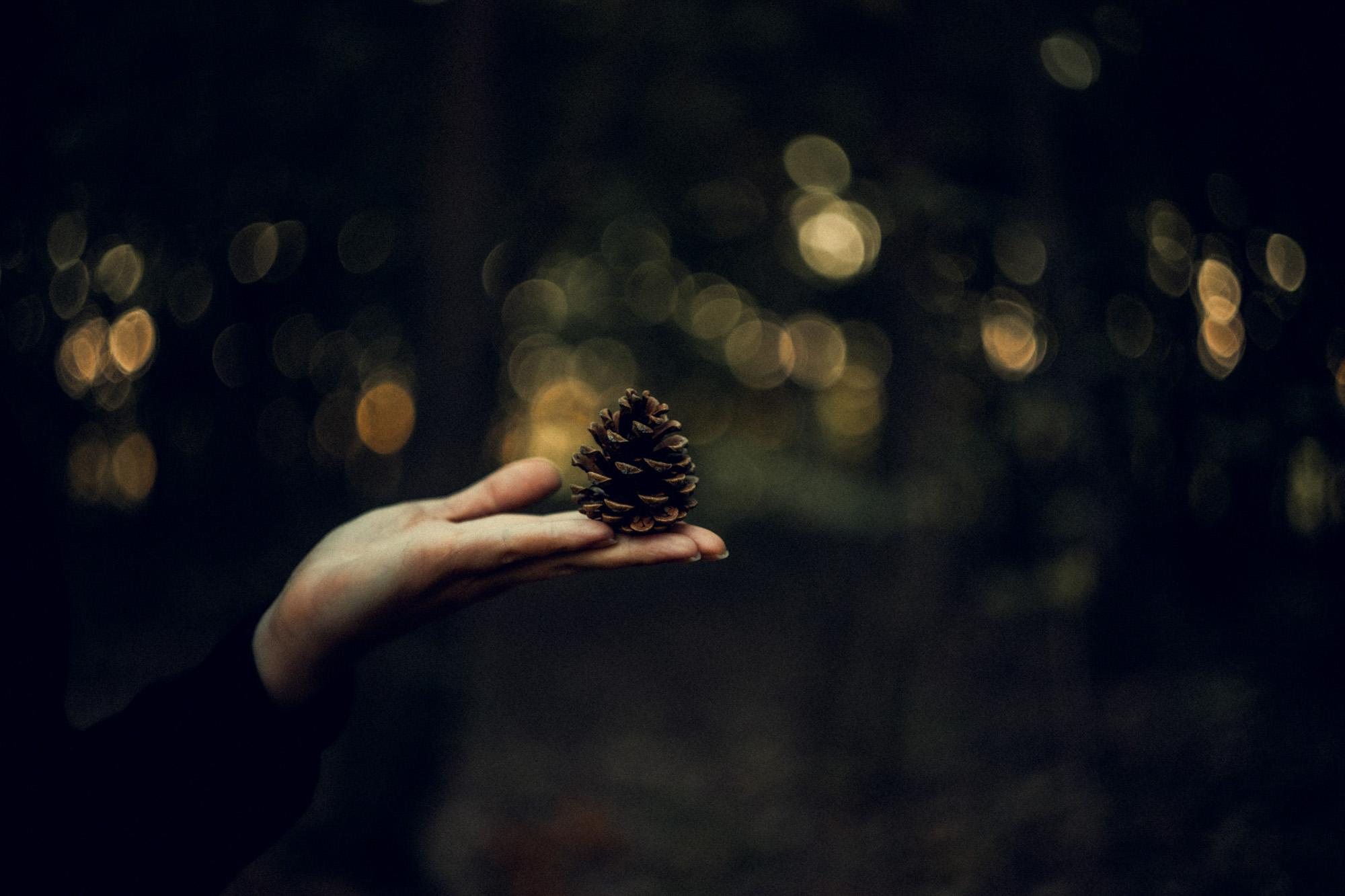 Пейзажная фотография Молдова. Recstudiofilm — Фото видео услуги на свадьбу в Молдове