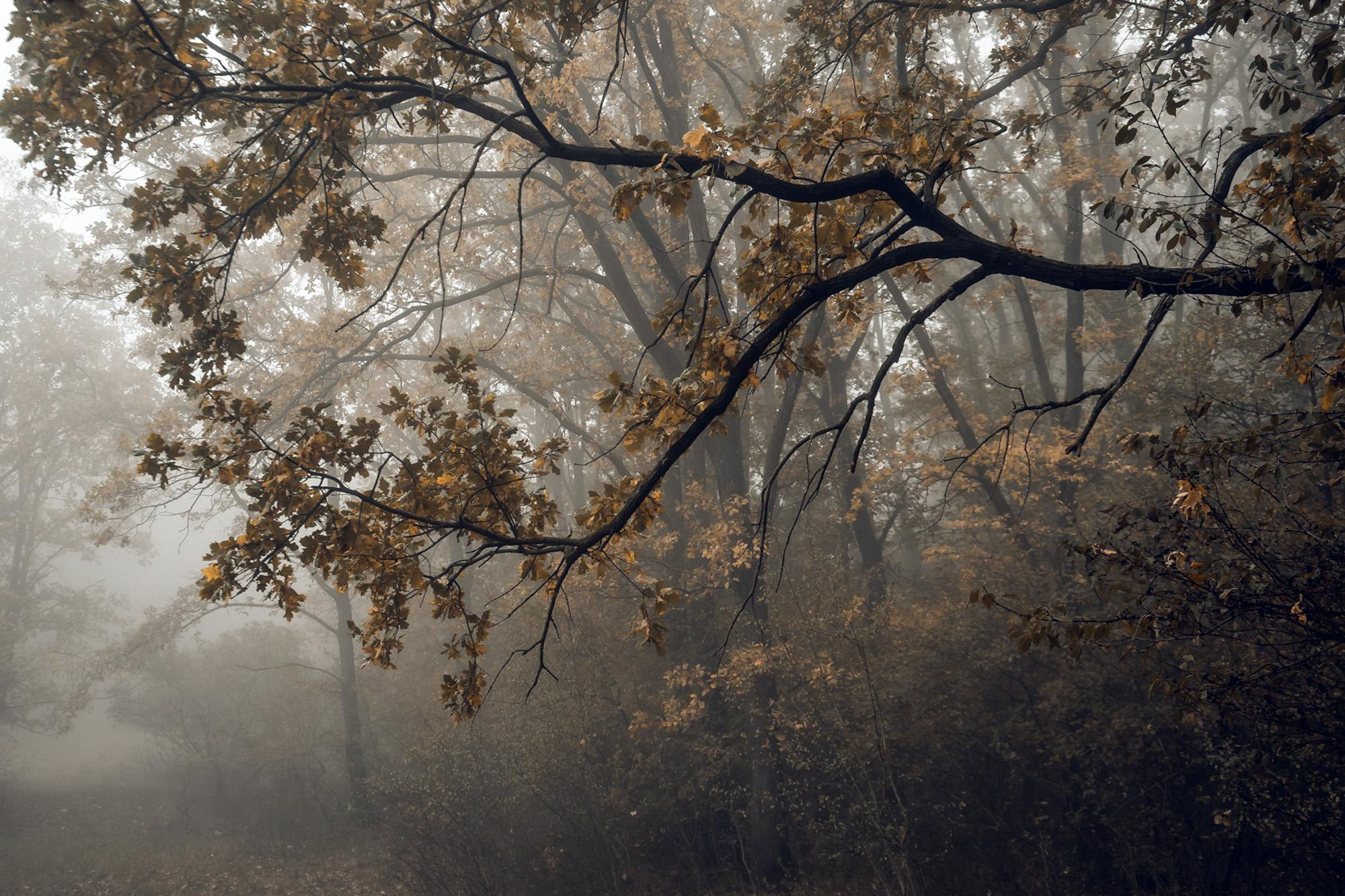 Пейзажная фотография Молдова. Recstudiofilm — Фото видео услуги на свадьбу в Молдове