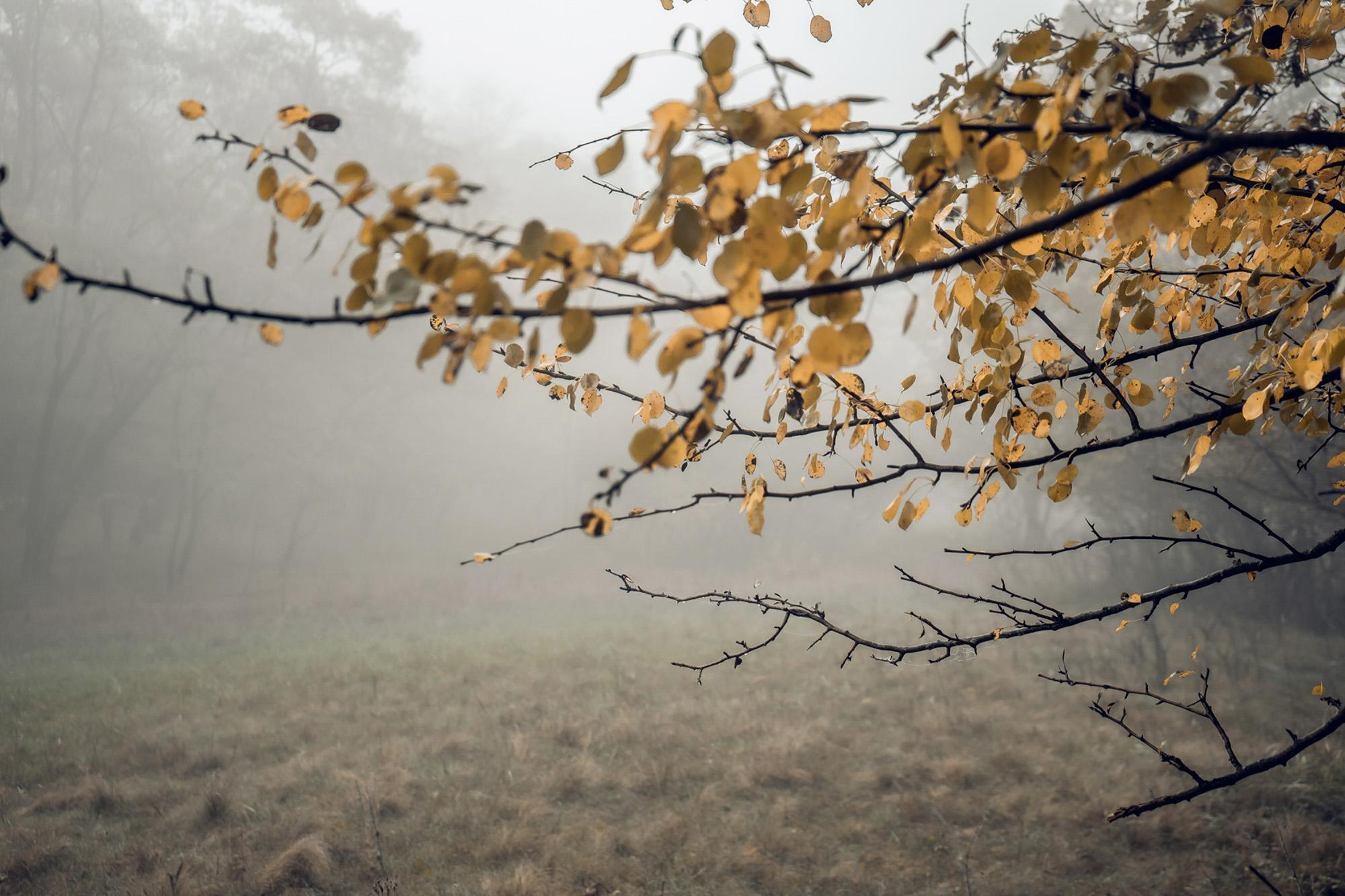 Пейзажная фотография Молдова. Recstudiofilm — Фото видео услуги на свадьбу в Молдове