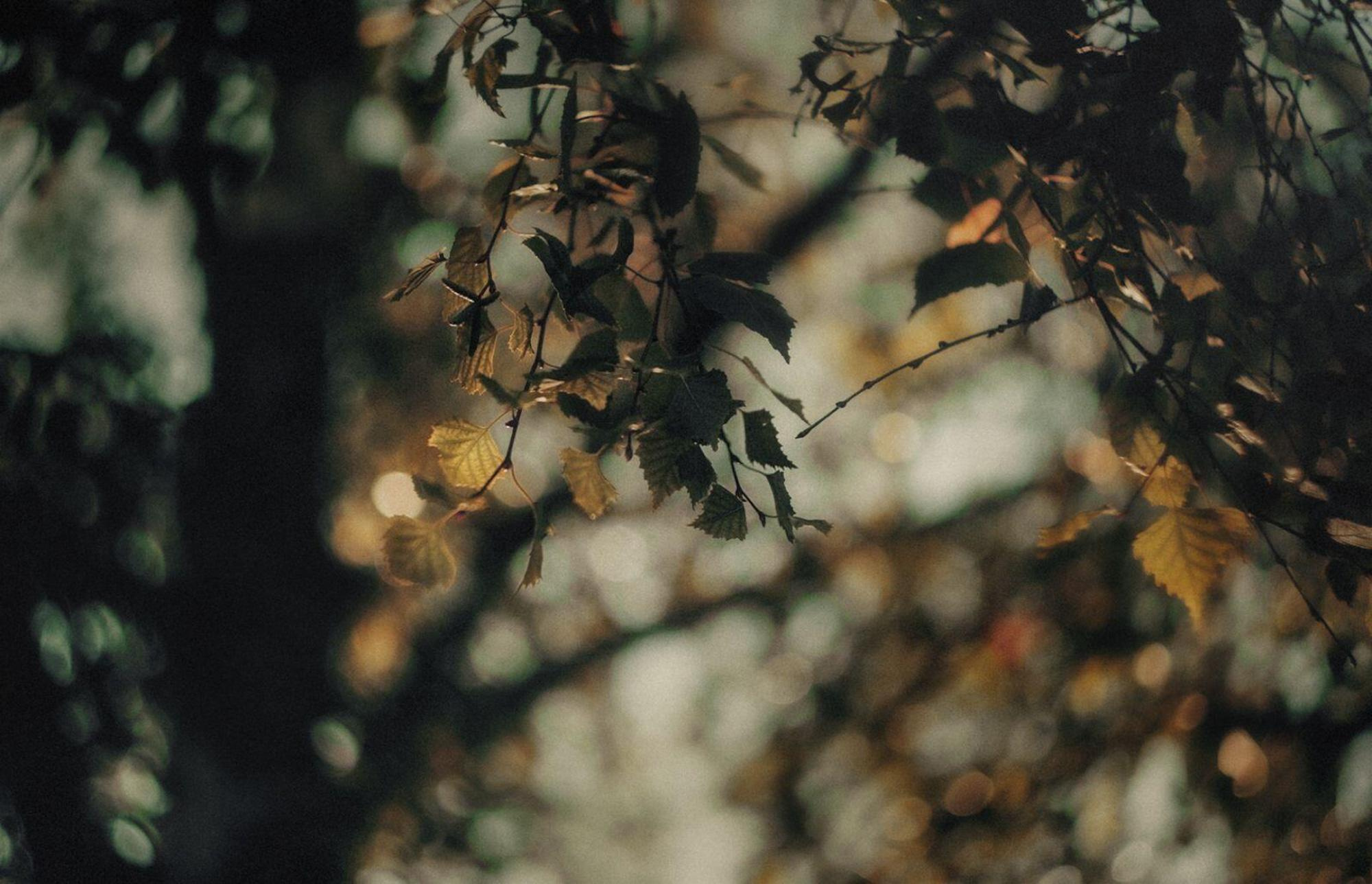 Пейзажная фотография Молдова. Recstudiofilm — Фото видео услуги на свадьбу в Молдове