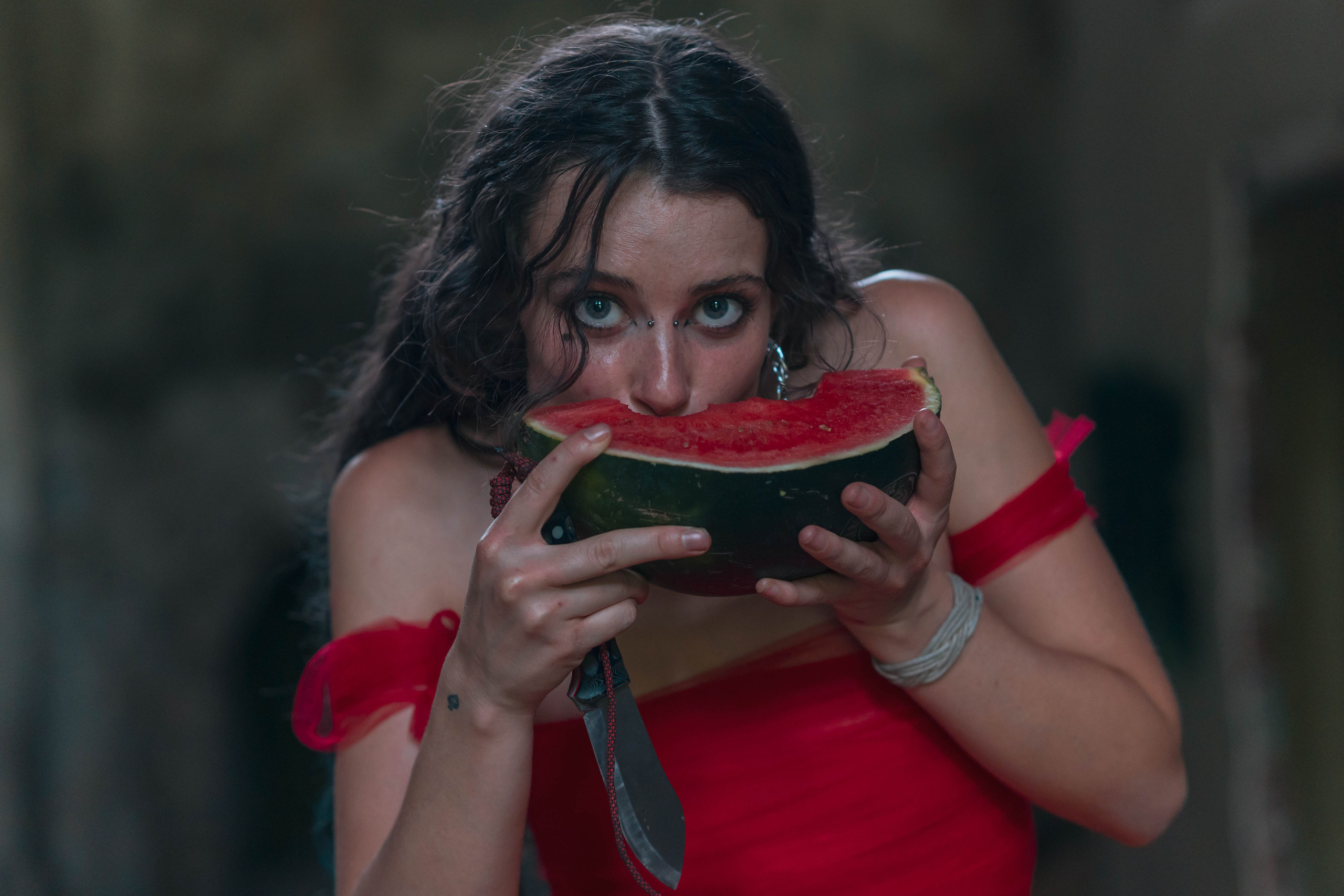 Dani. Alba del Norte Studio