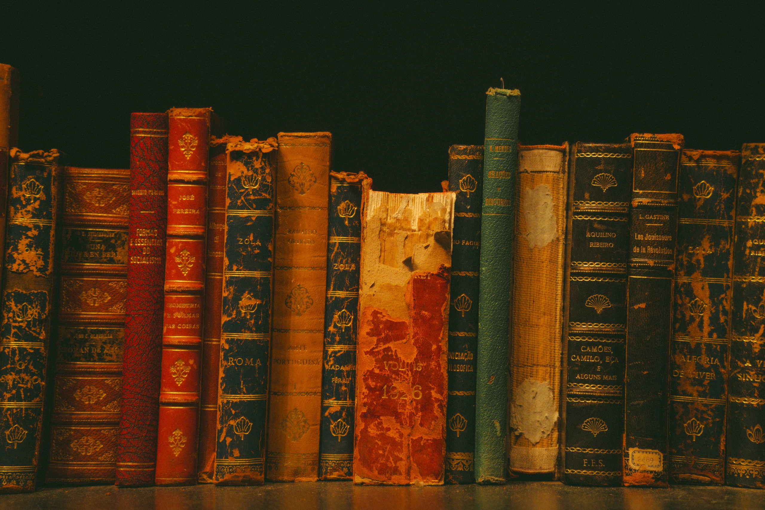 Porto, Agosto 2024. Alba del Norte Studio