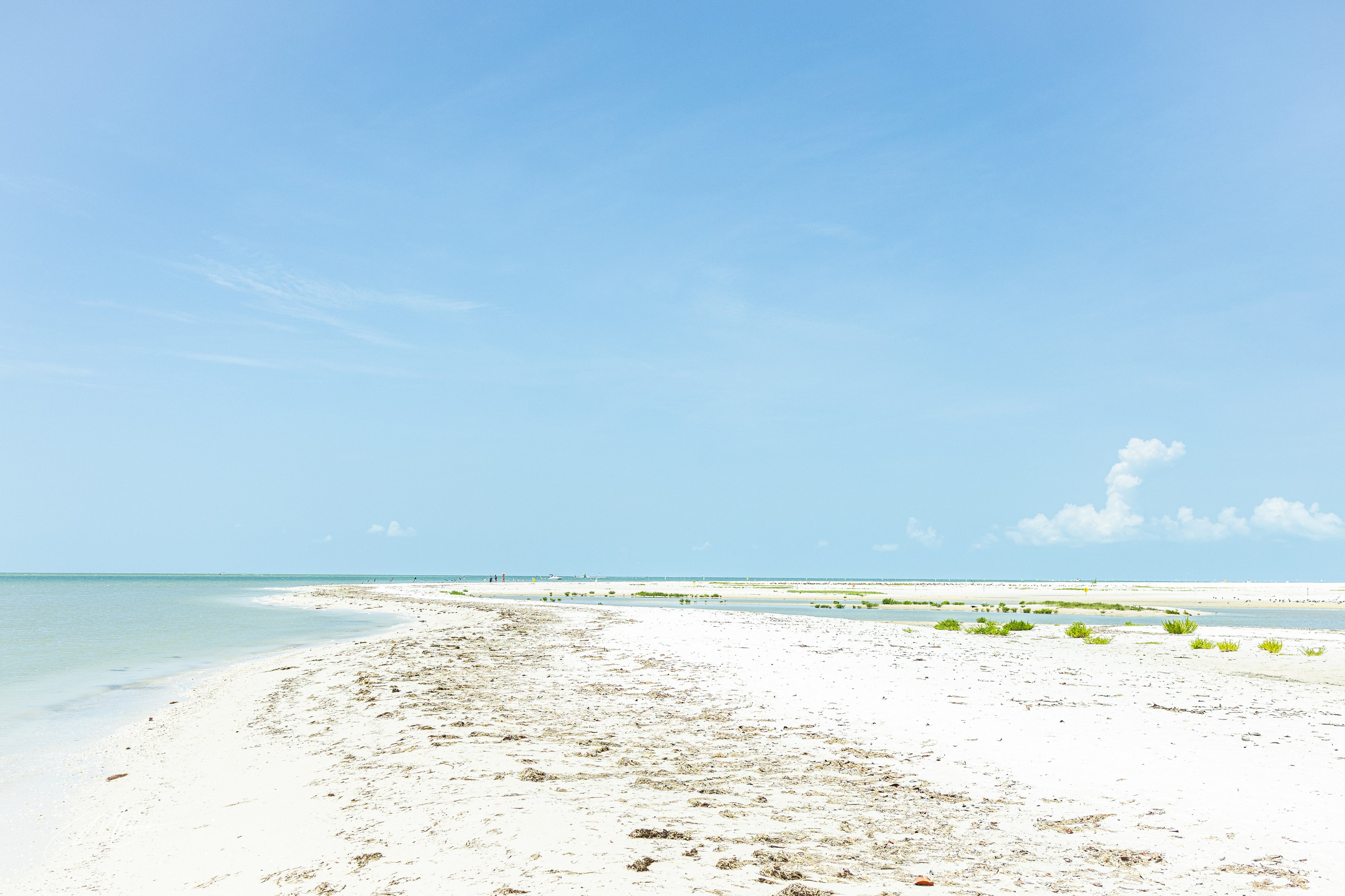 Fort Myers. Out and About 239