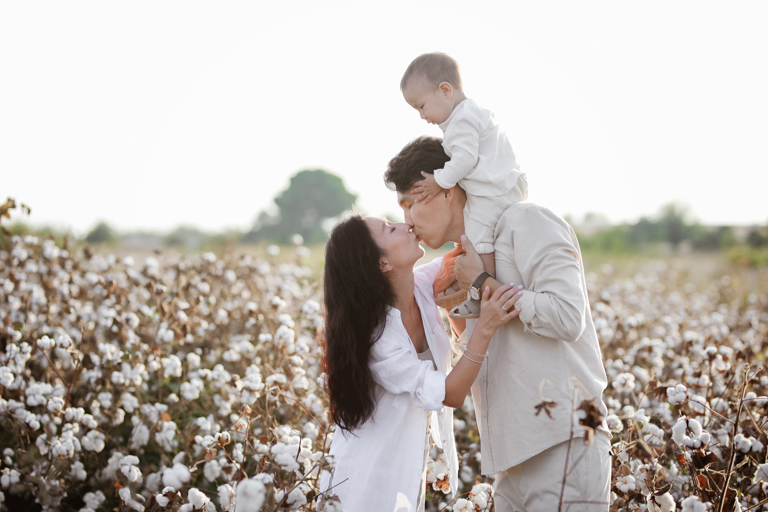 Фотосессия на хлопковом поле. Фотограф в Турции, Анталии, Кемере, Белеке, Сиде, Каше, Калкане, Фетхие