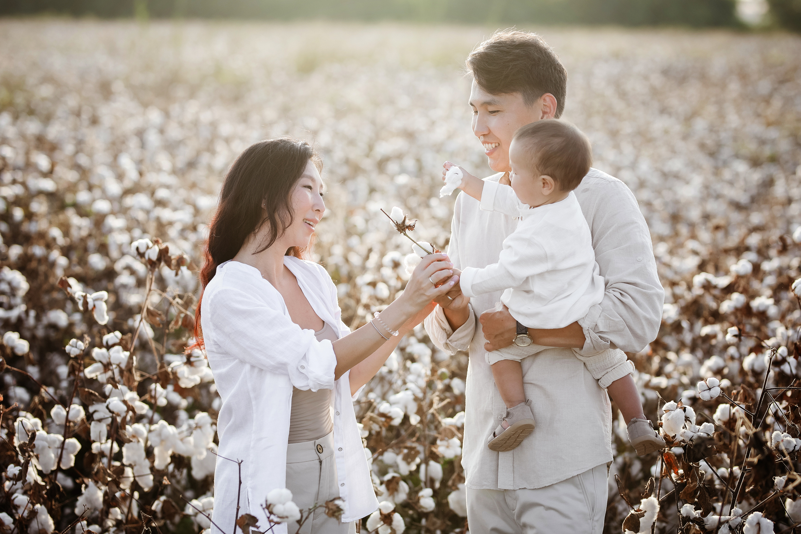 Фотосессия на хлопковом поле. Фотограф в Турции, Анталии, Кемере, Белеке, Сиде, Каше, Калкане, Фетхие