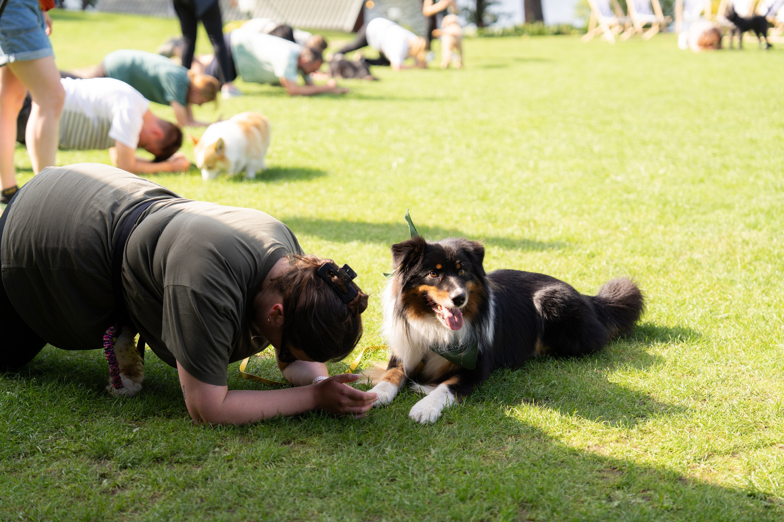Heppi Dogo fest 2025. Vita Klimaševska ○ Fluffy Soulmate Photography