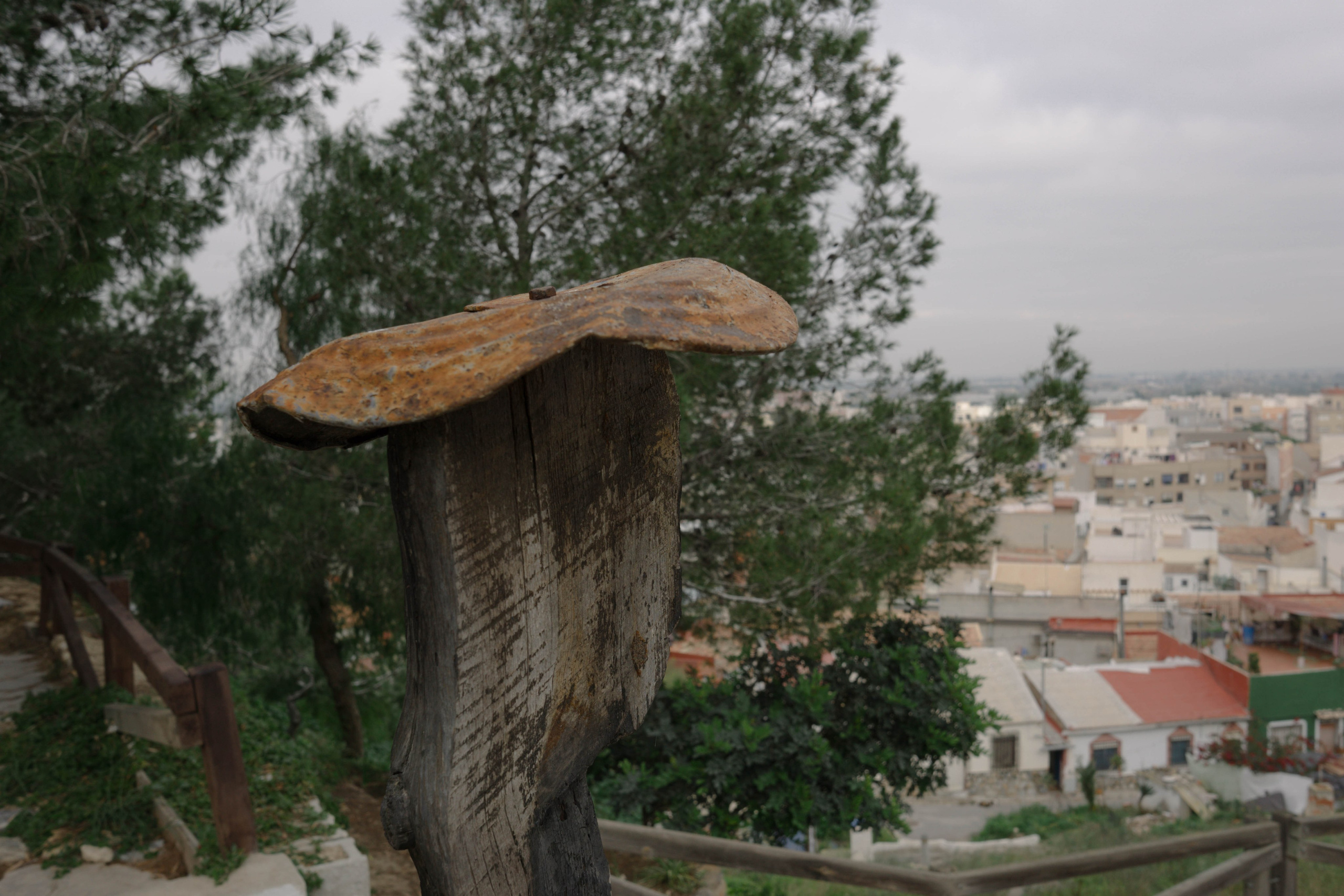 Rojales. Alba del Norte Studio