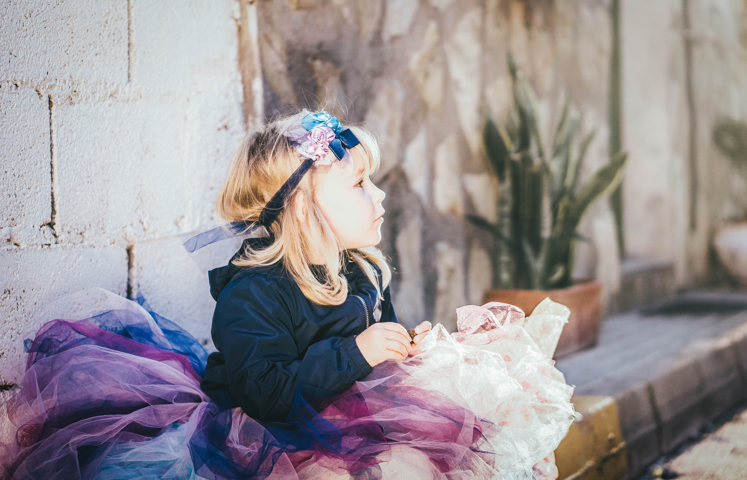 Magic moments. Alba del Norte Studio