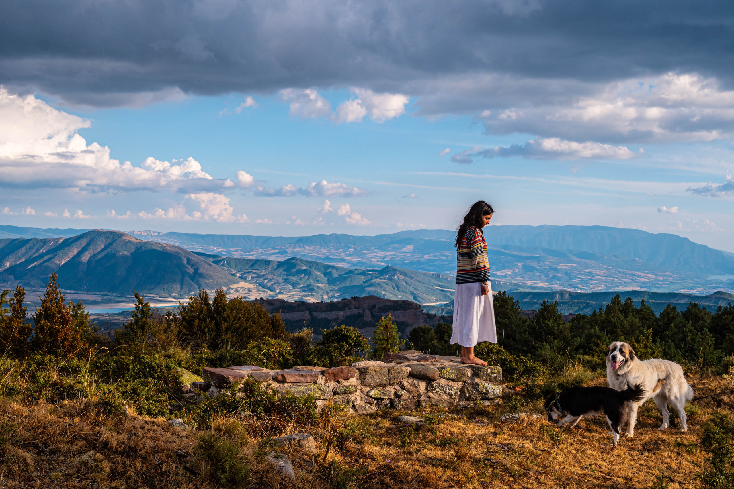 Lila. Alba del Norte Studio