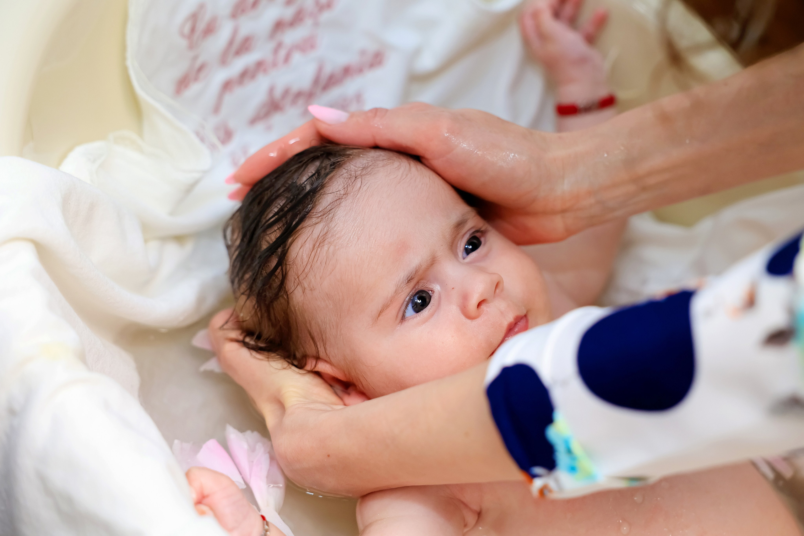 Iris Stefania. Moments By Gub