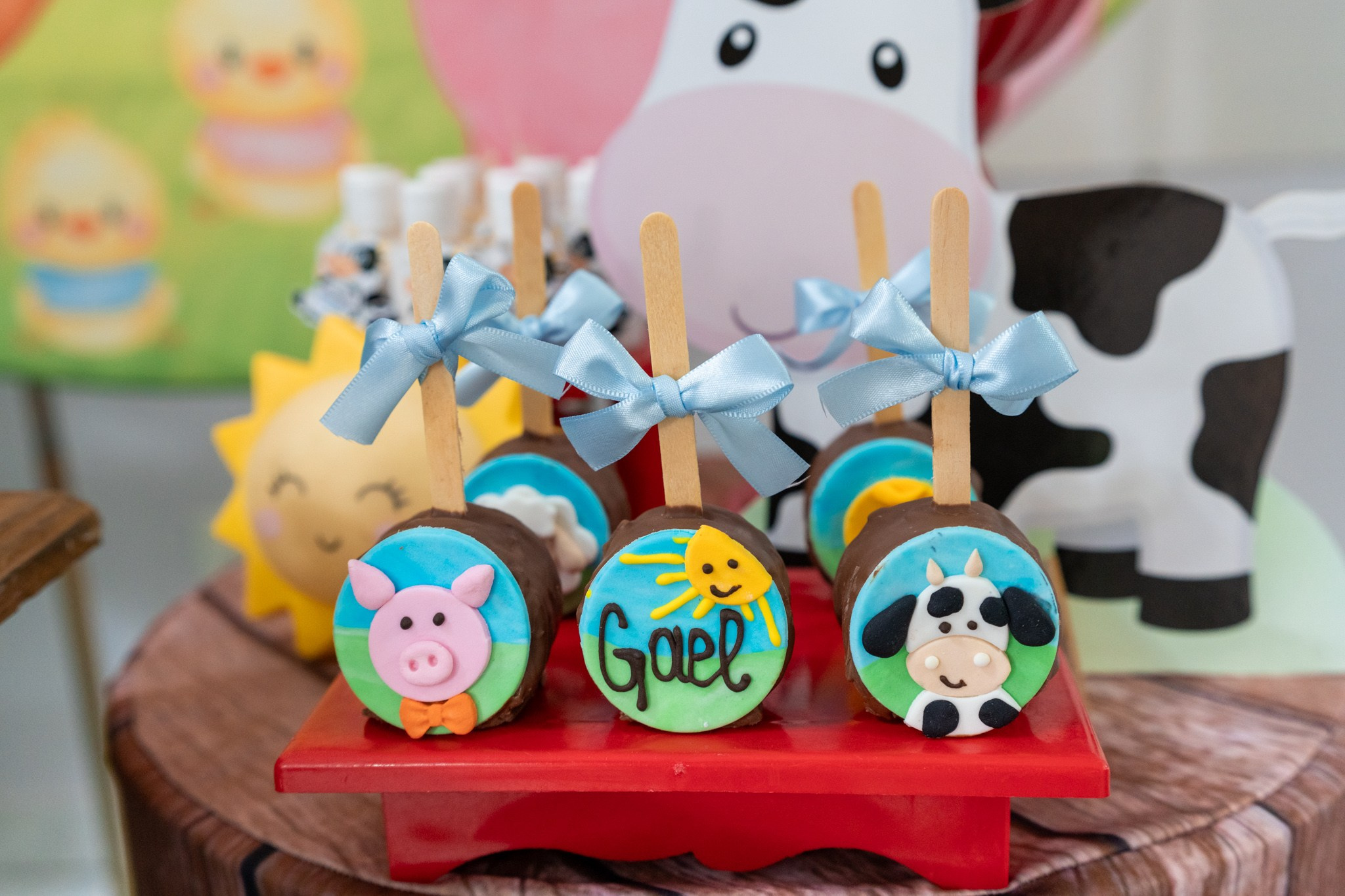 Gael 1 ano — 21/12/2024. Luiz Medeiros Produções