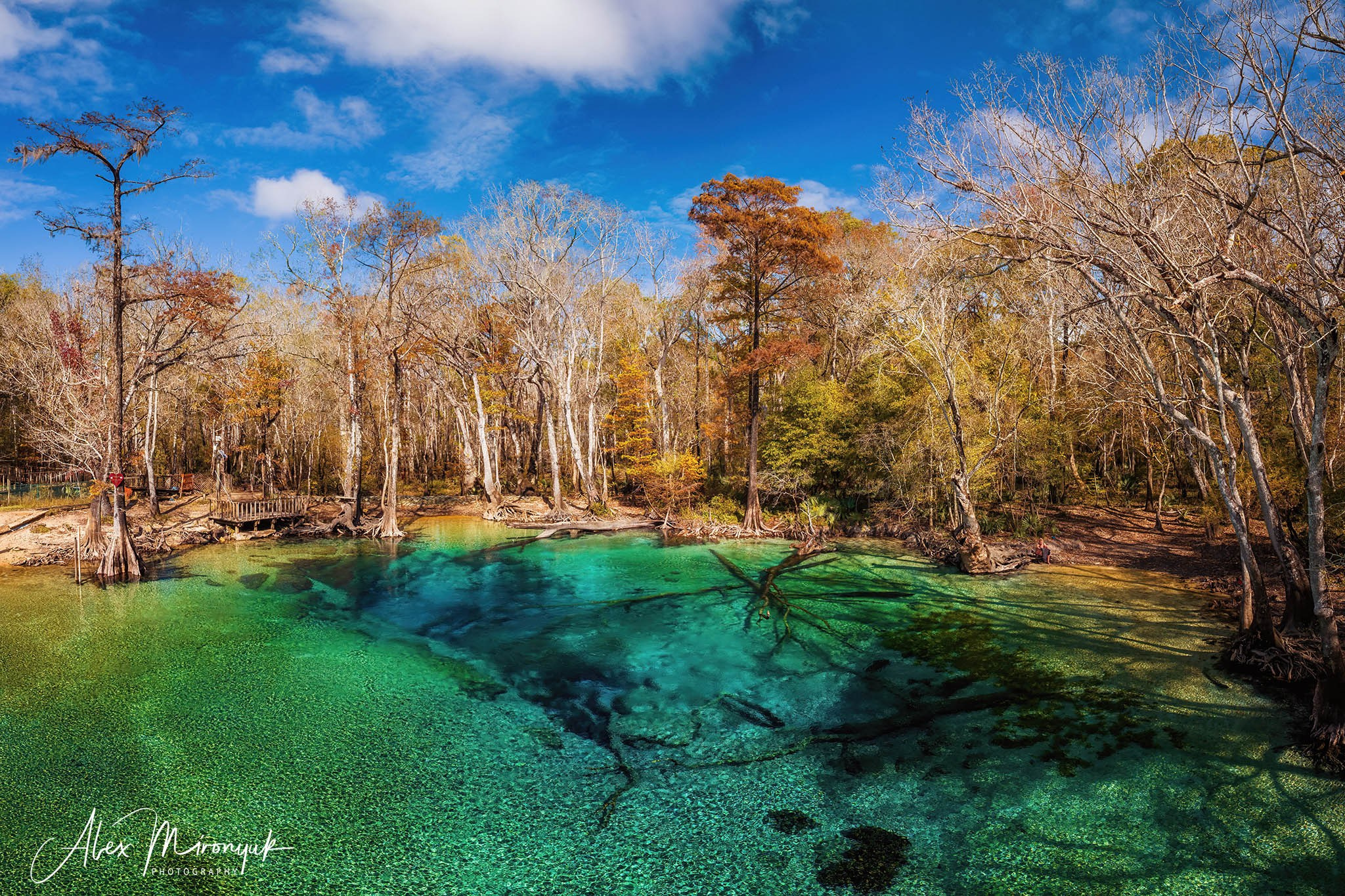 Exploring True Florida: Springs, Rivers & Manatees by Canoe. Pet, Senior, Landscape, portrait studio, photographer in Miami and Sou