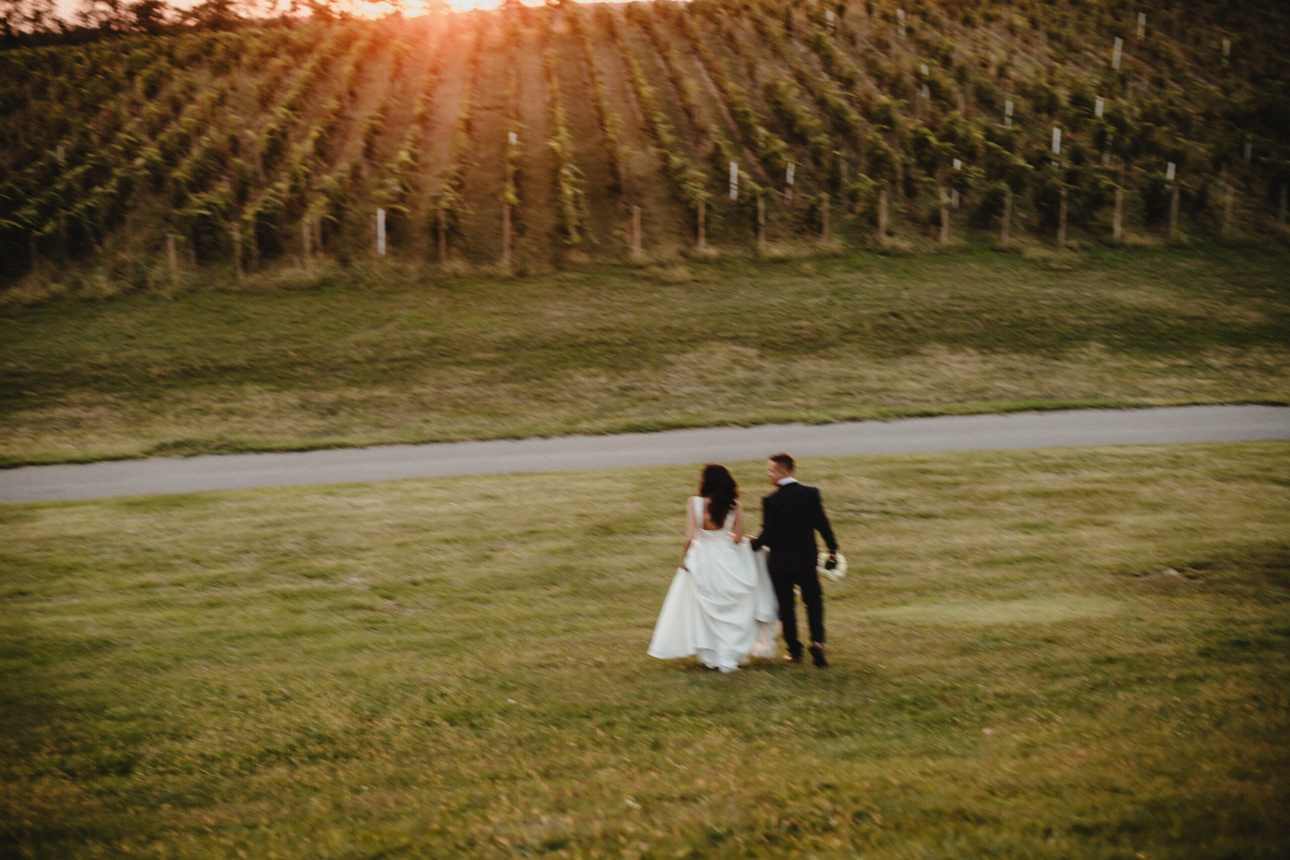 Portfolio. Wedding photographer based in Novi Sad, Marko Milivojevic