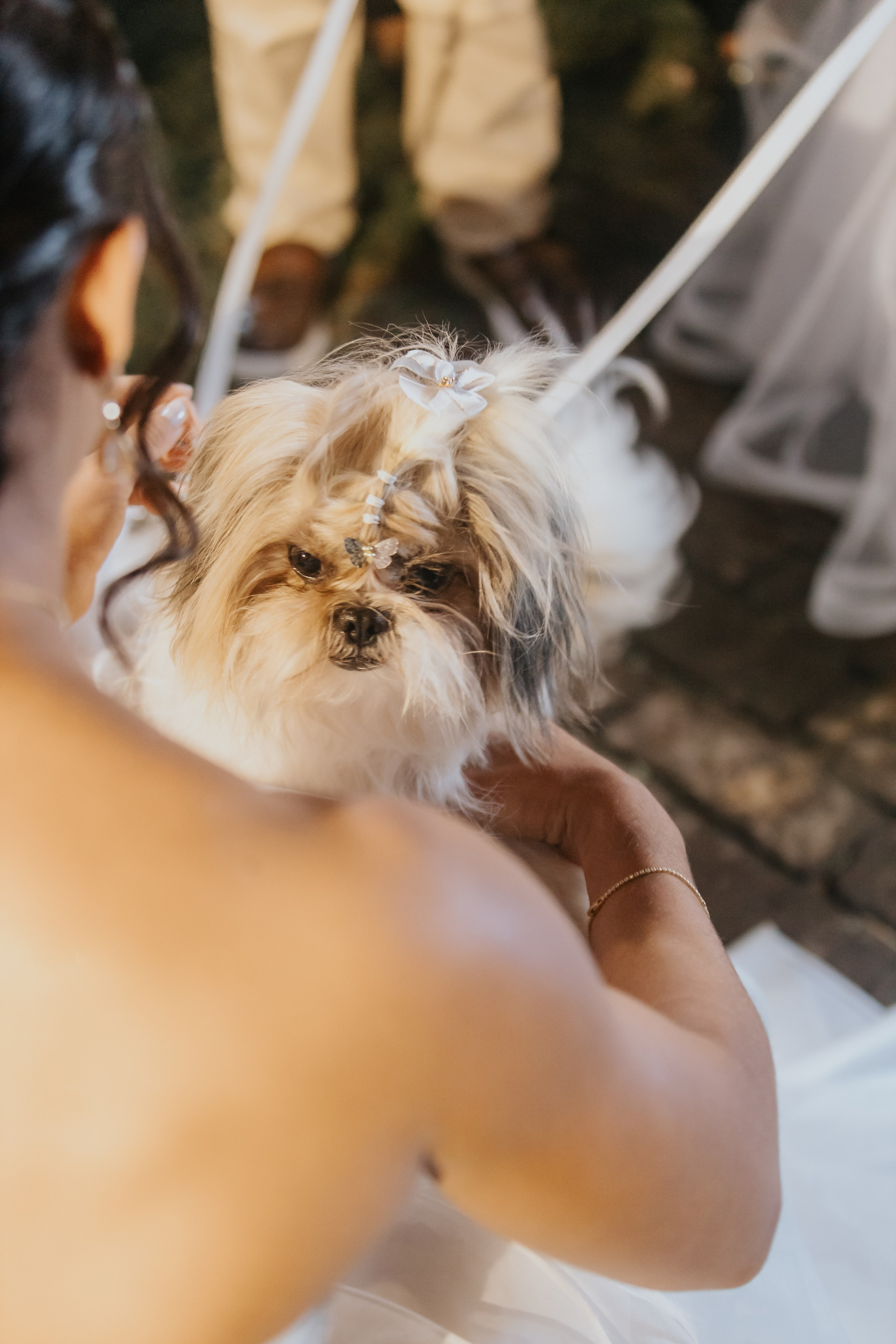 Pettúlia & Breno. Fotógrafo de Casamentos na Bahia — Richard Silvestre