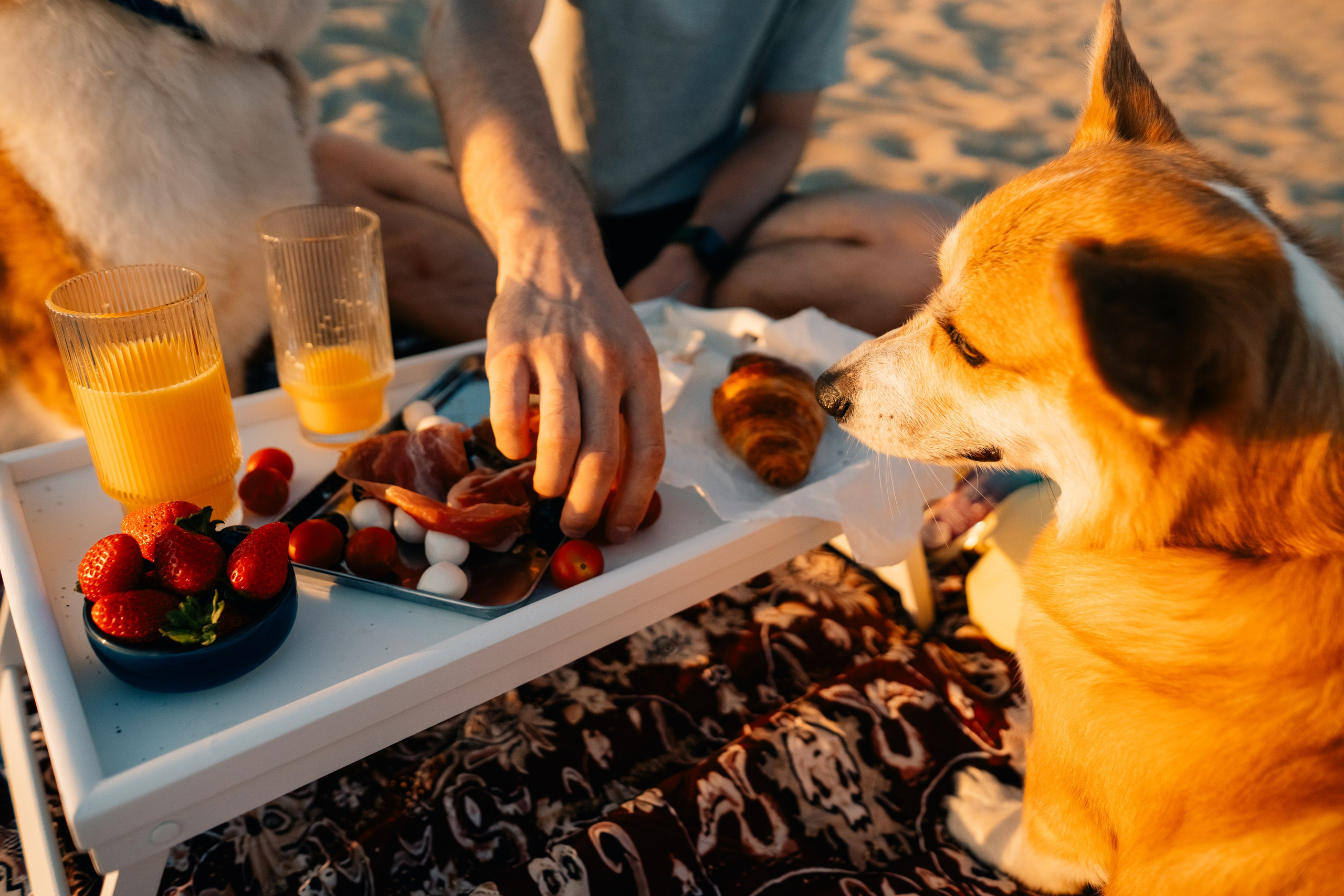 Anya & Dima. Maria Sher. Professional photographer from Porto, Portugal