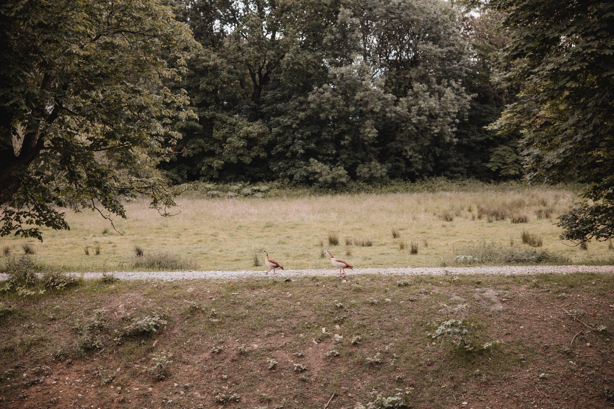 SASKIA & MAX | HAUS KEMNADE. Photographer in Bochum Dolia Halyna