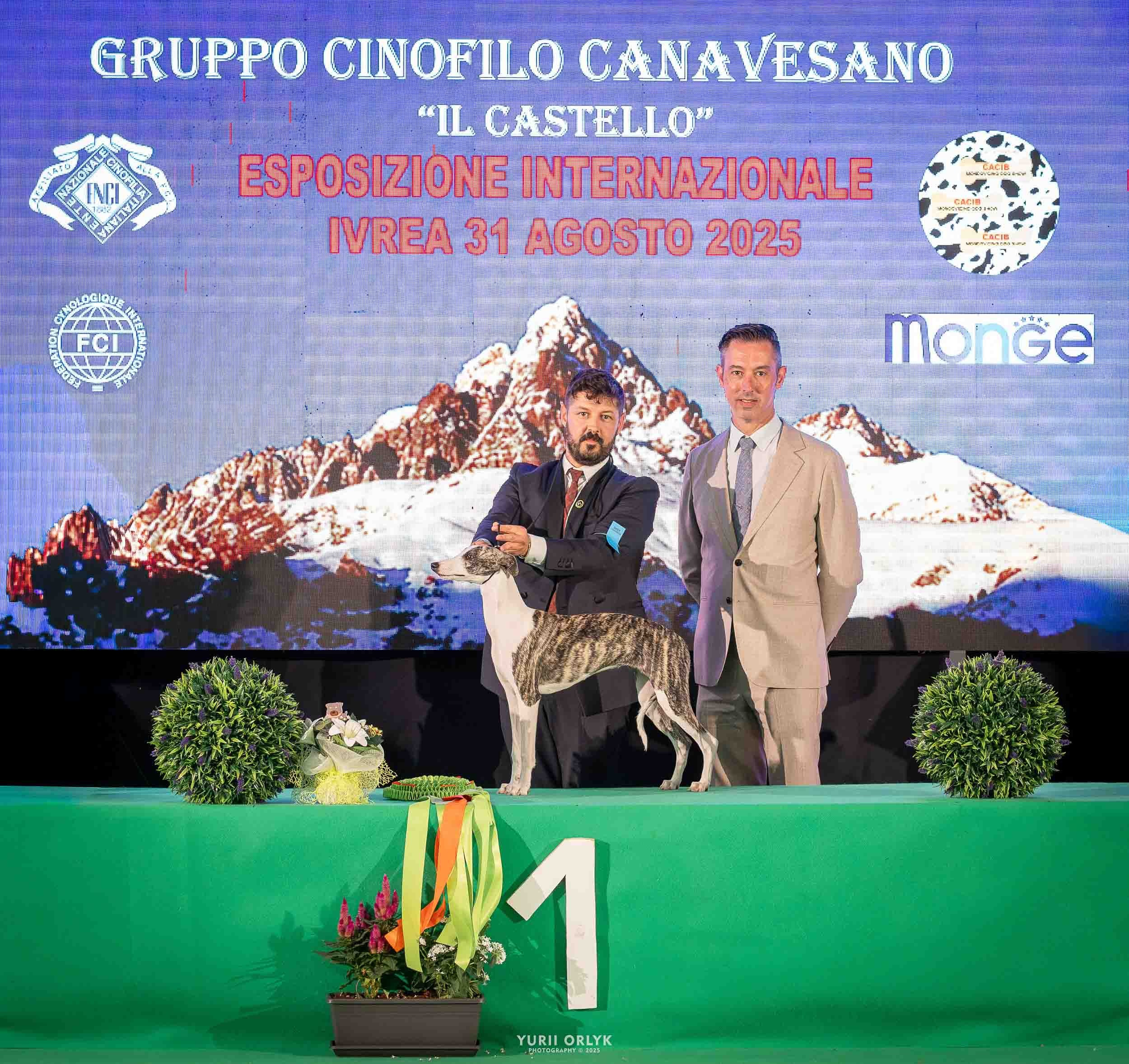 Dog Shows. Yurii Orlyk Photography