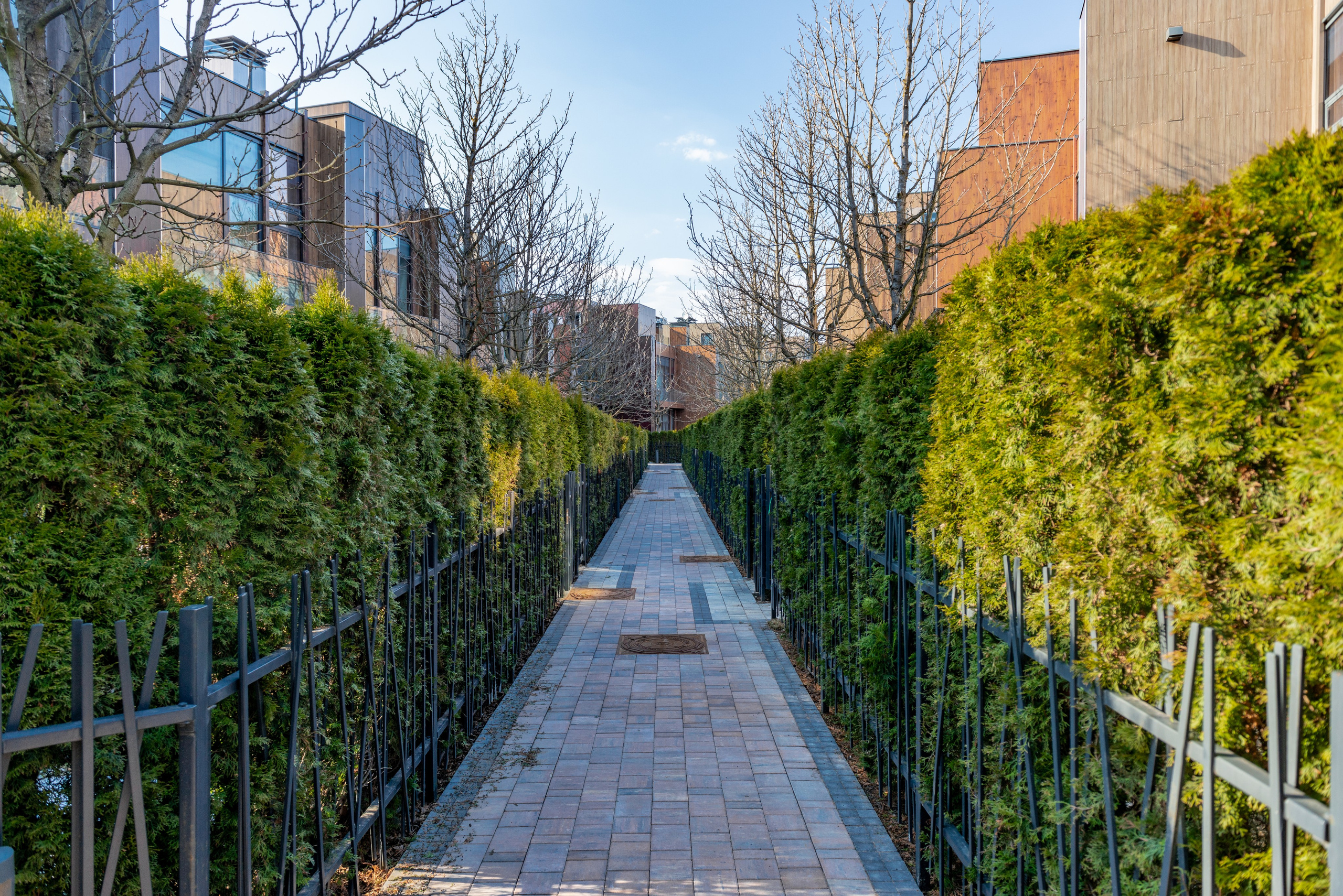 Футуро парк и парк Фонте. ФОТОГРАФ МЕКСИКА КИНТАНА-РОО