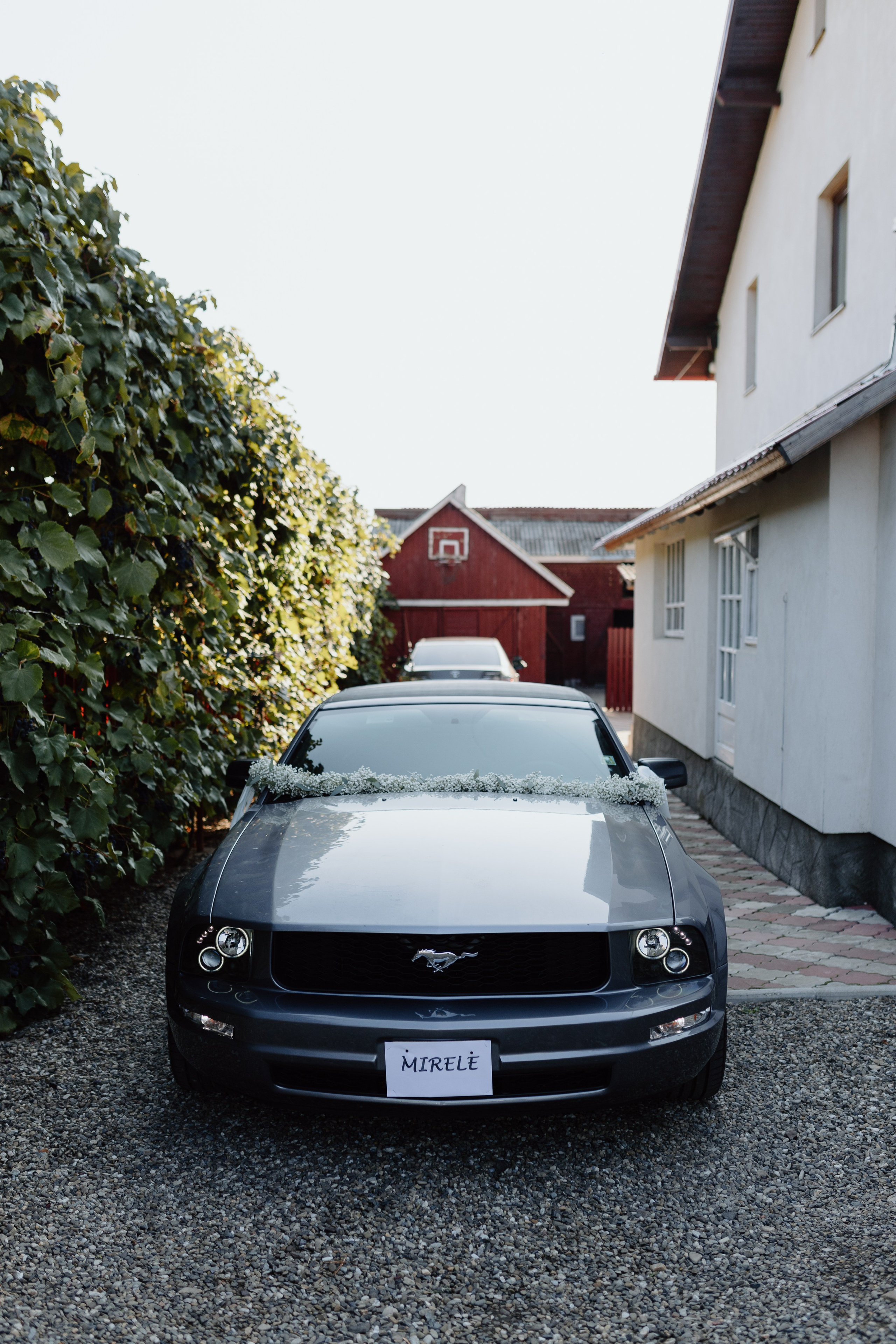 Iustin & Fabiana. Main