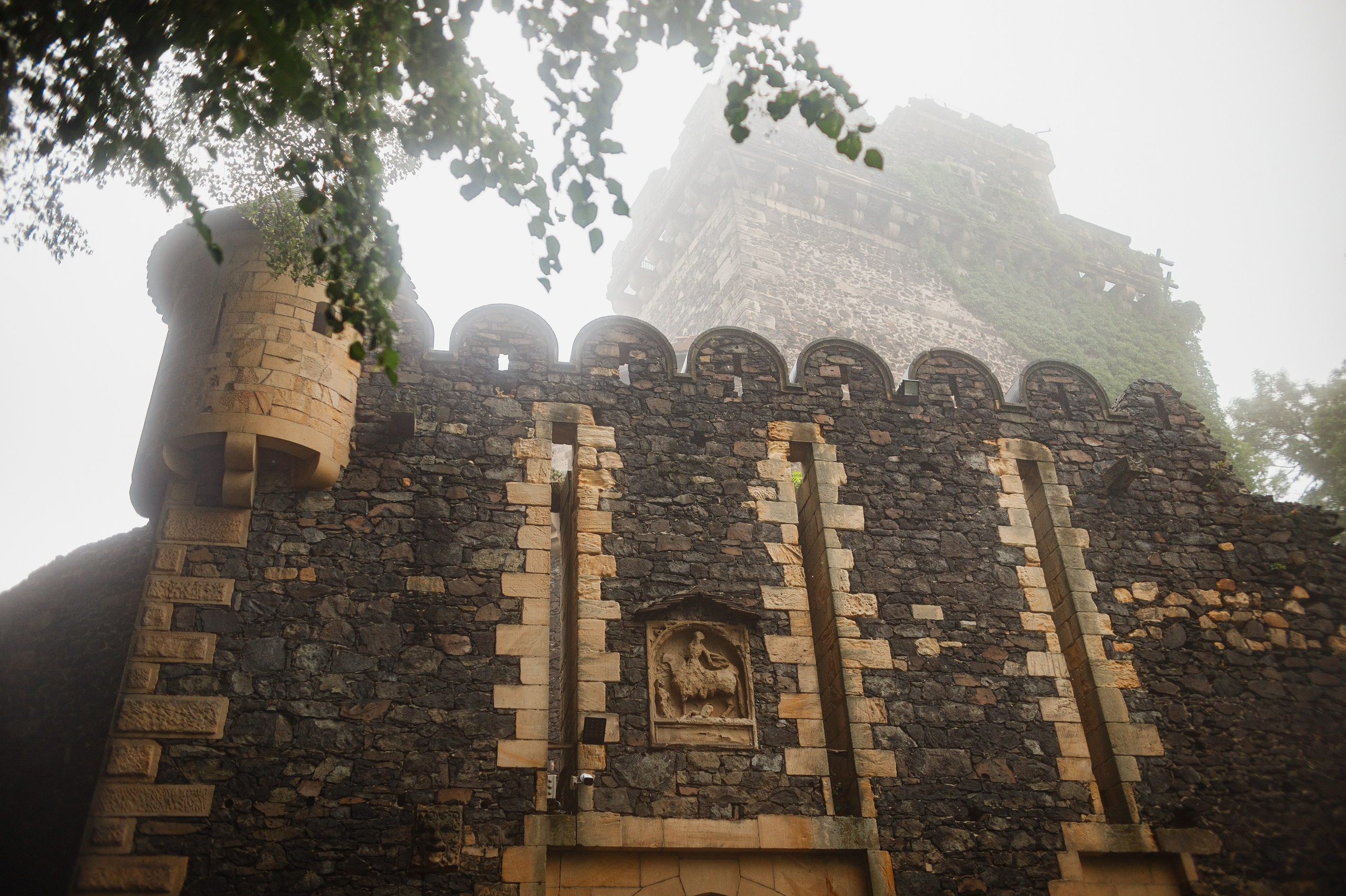 Zamek Grodziec. Kaja | fotograf psów we Wrocławiu