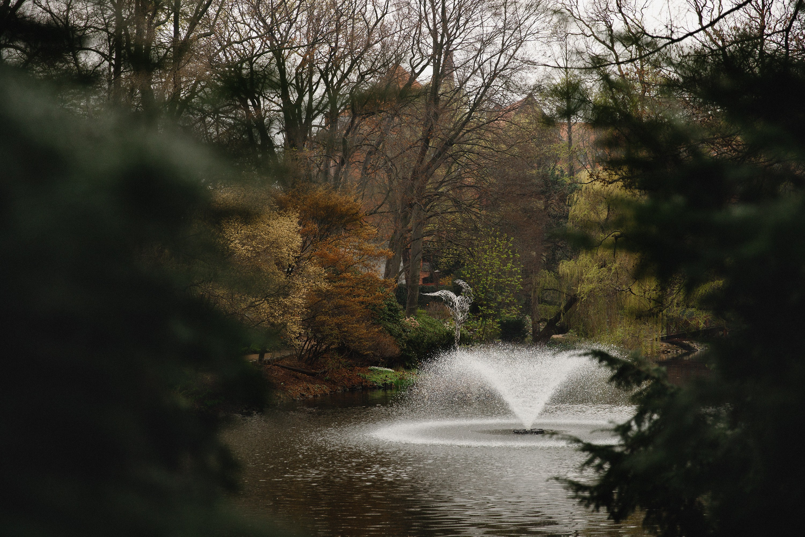 Botanical garden in Wroclaw. Kaja | fotograf we Wrocławiu | ludzie i psy