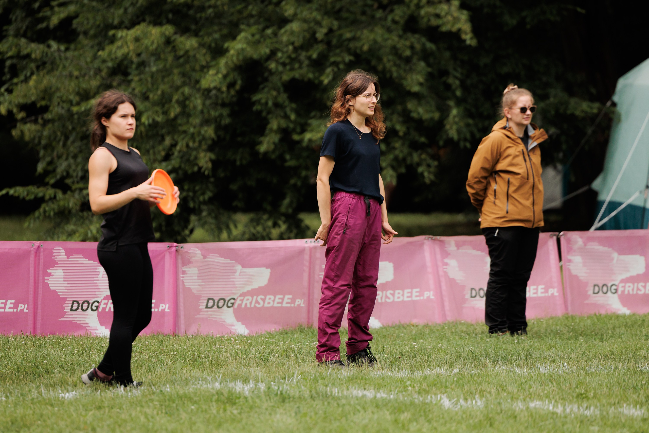 Latające psy, Wrocław'25. Kaja | fotograf psów we Wrocławiu