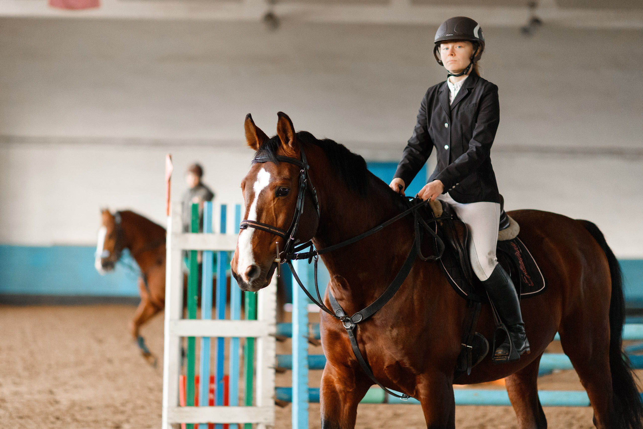 Winter show jumping in «Progress». Kaja | fotograf we Wrocławiu | ludzie i psy