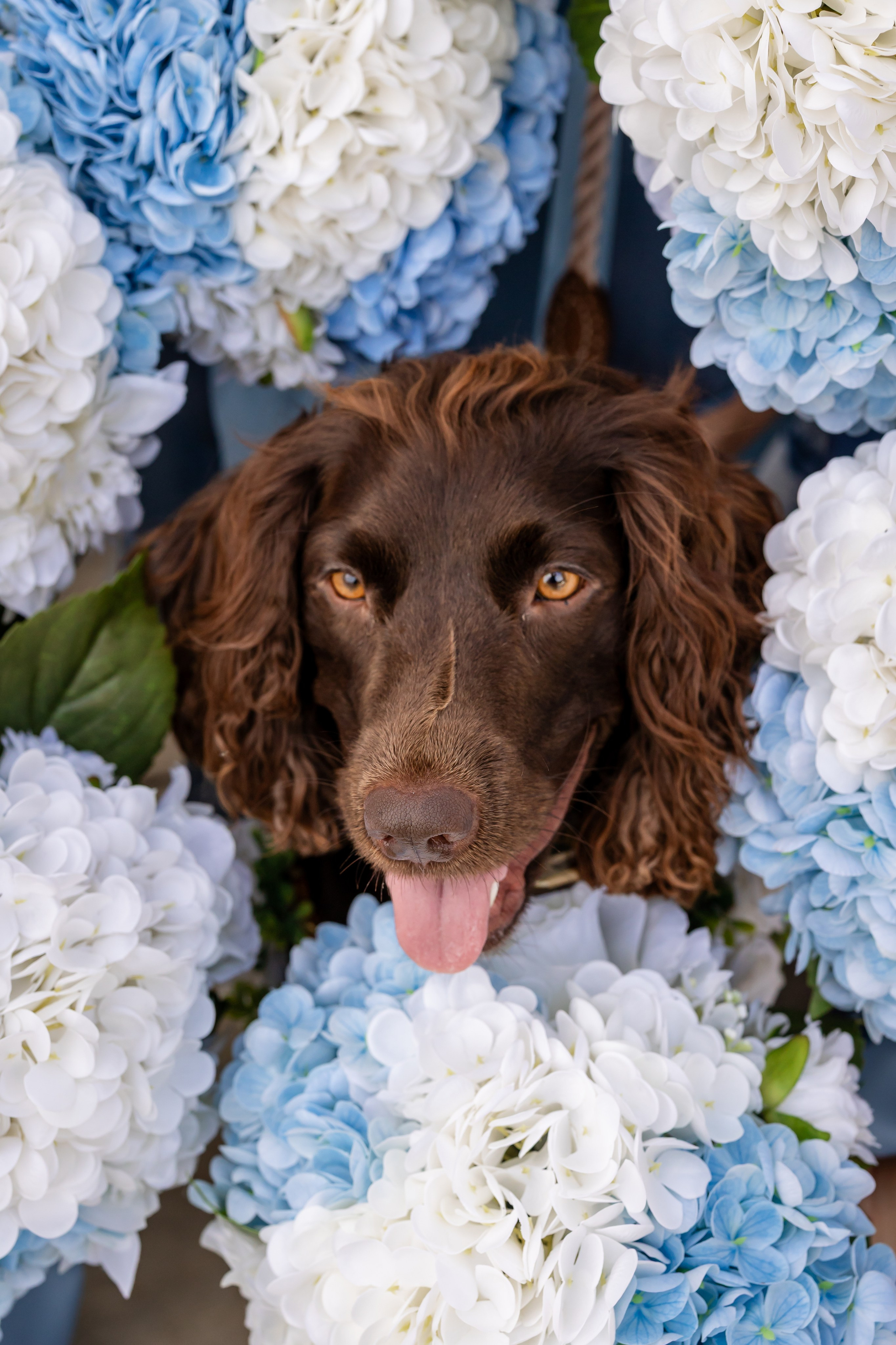 Romance at The Terrace: Kacey & Garrett’s Southern Wedding in Abbeville. Wedding and portrait photography in Greenville SC