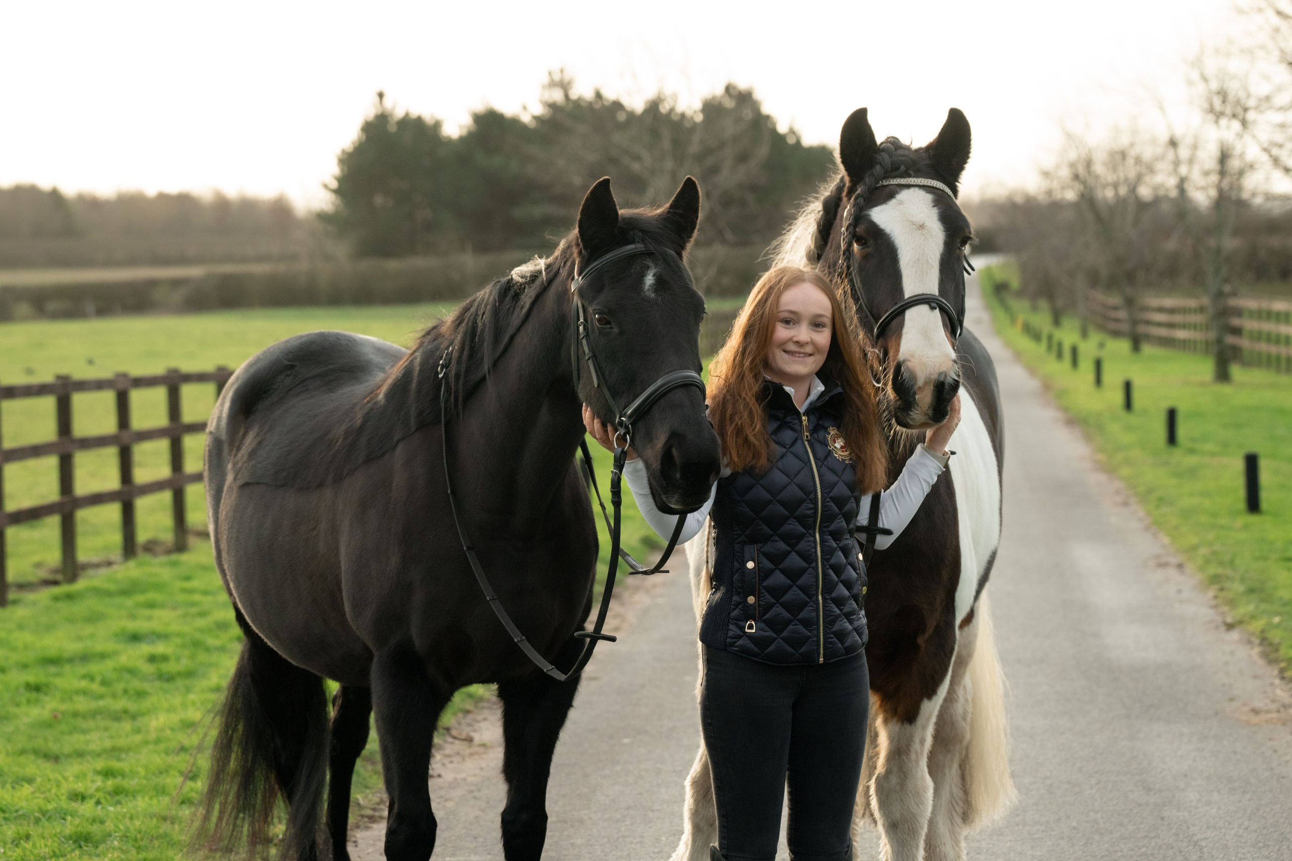 Equine Photography Portfolio | Leicestershire Horse Portrait Photographer. Leicestershire Equine Photography by El | Authentic Equine Portraits & Events