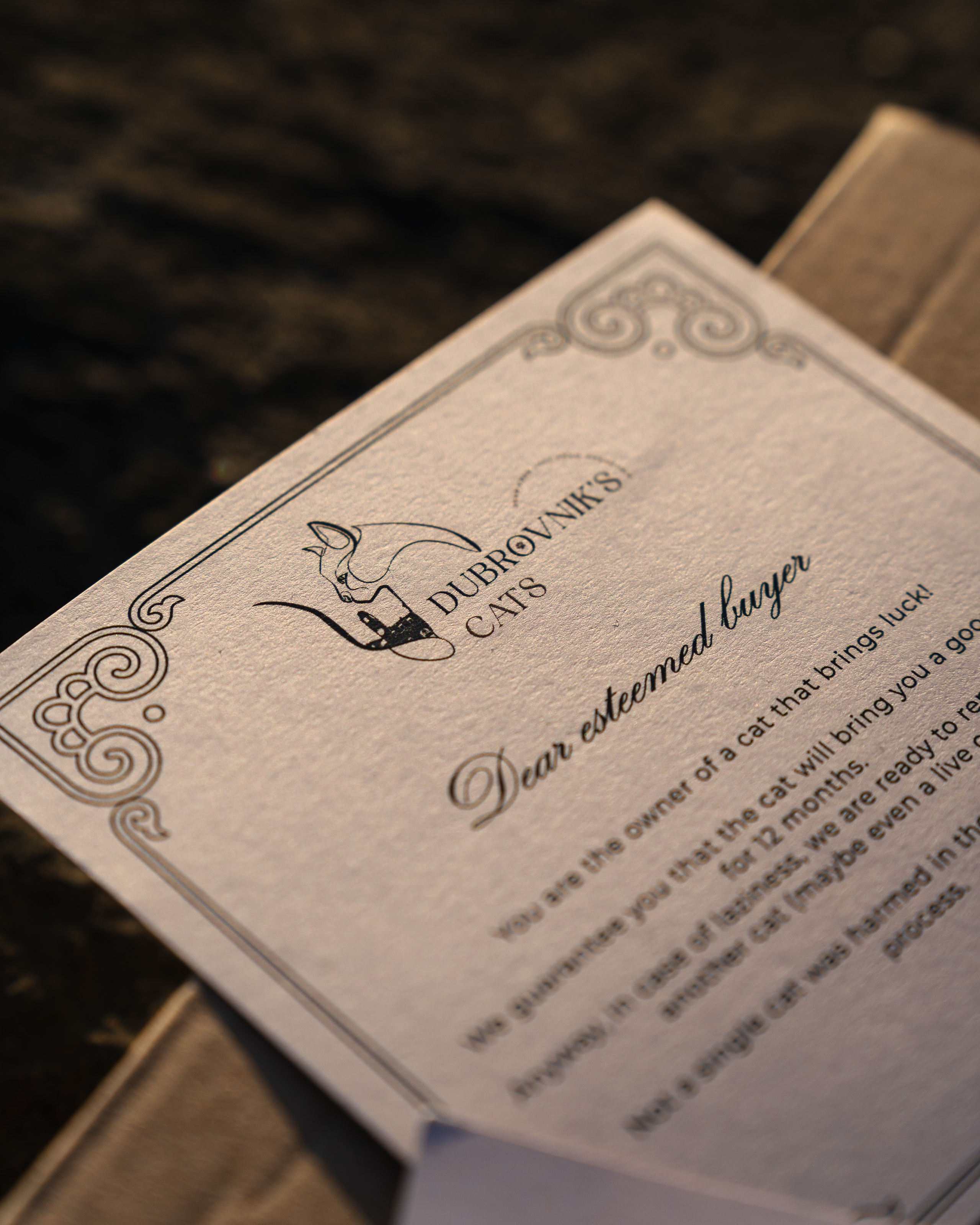 Portfolio. Montenegro photographer and videographer