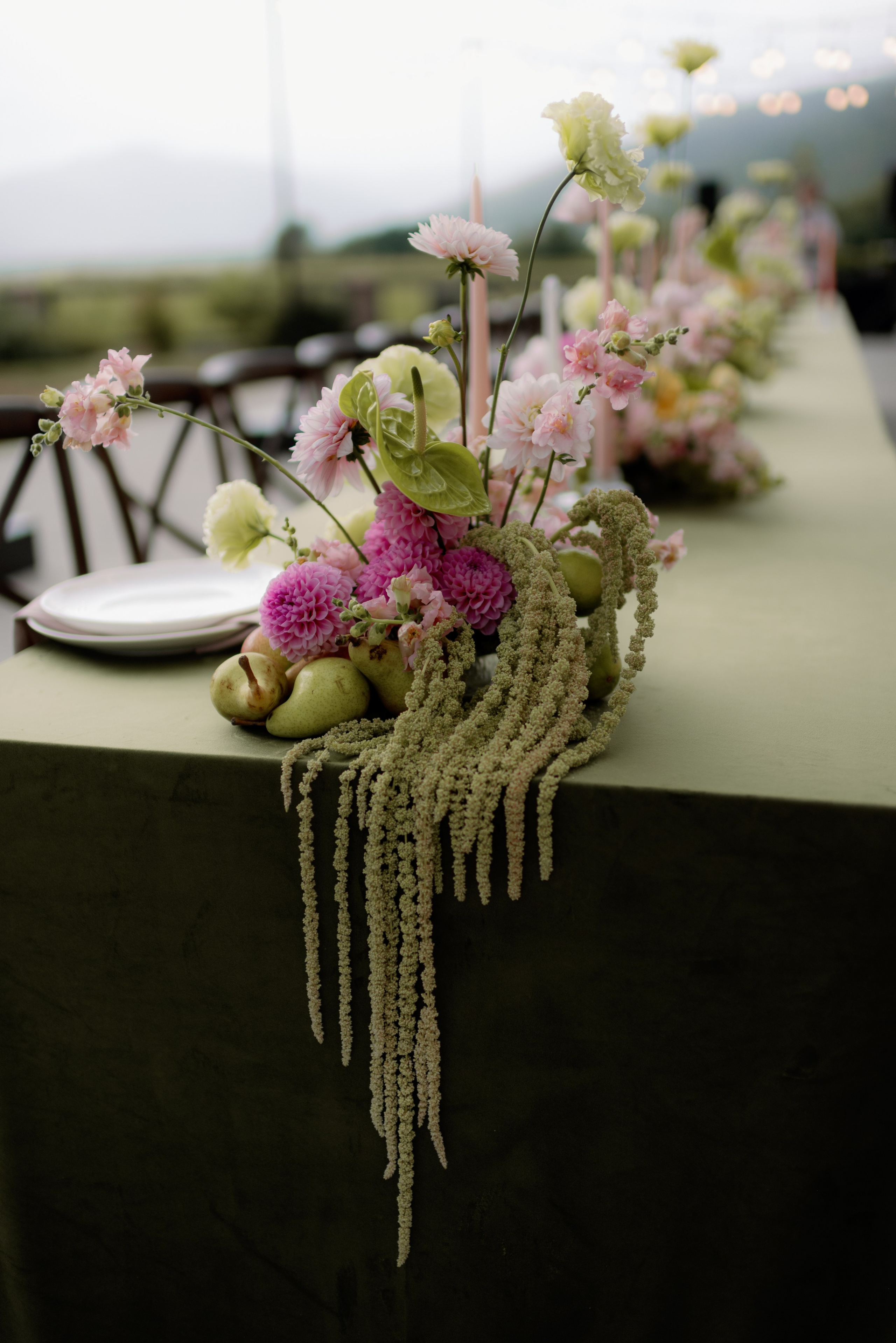 *. Maanukki photographer