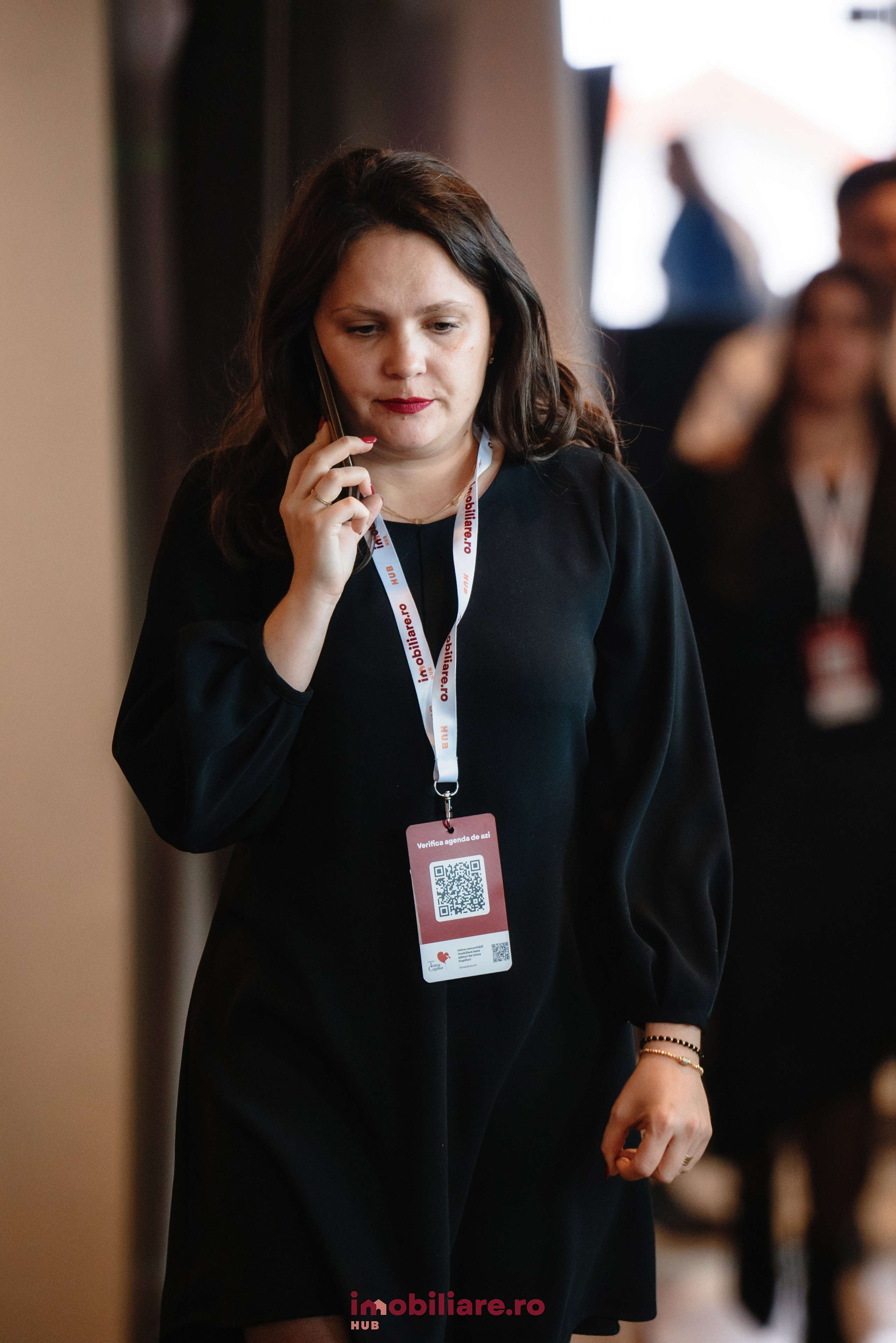 Imobliare HUB. Laurentiu Stefan StoryTeller