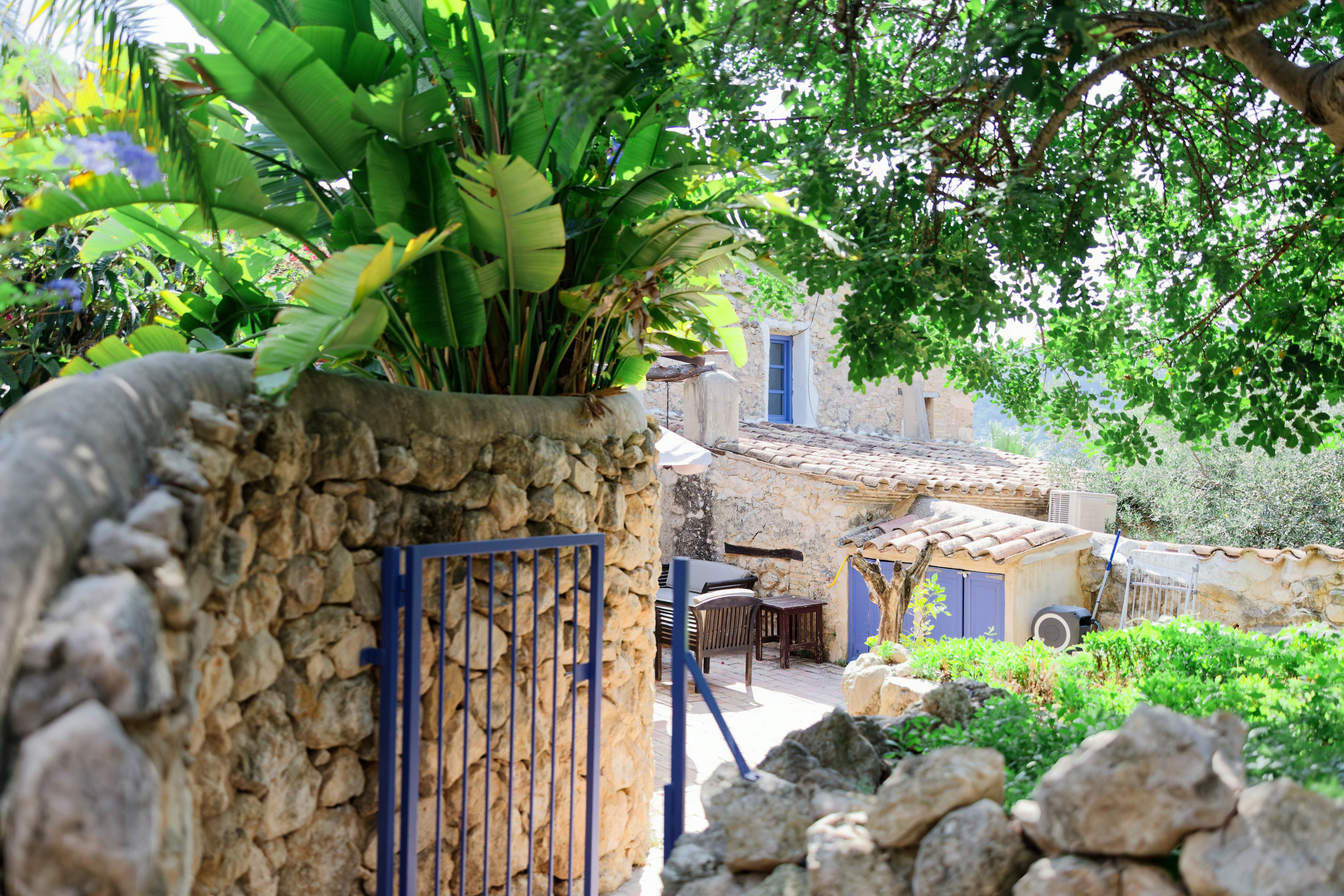 Haldi Ceremony & Mehndi Night & pre-wedding dinner, Barcelona