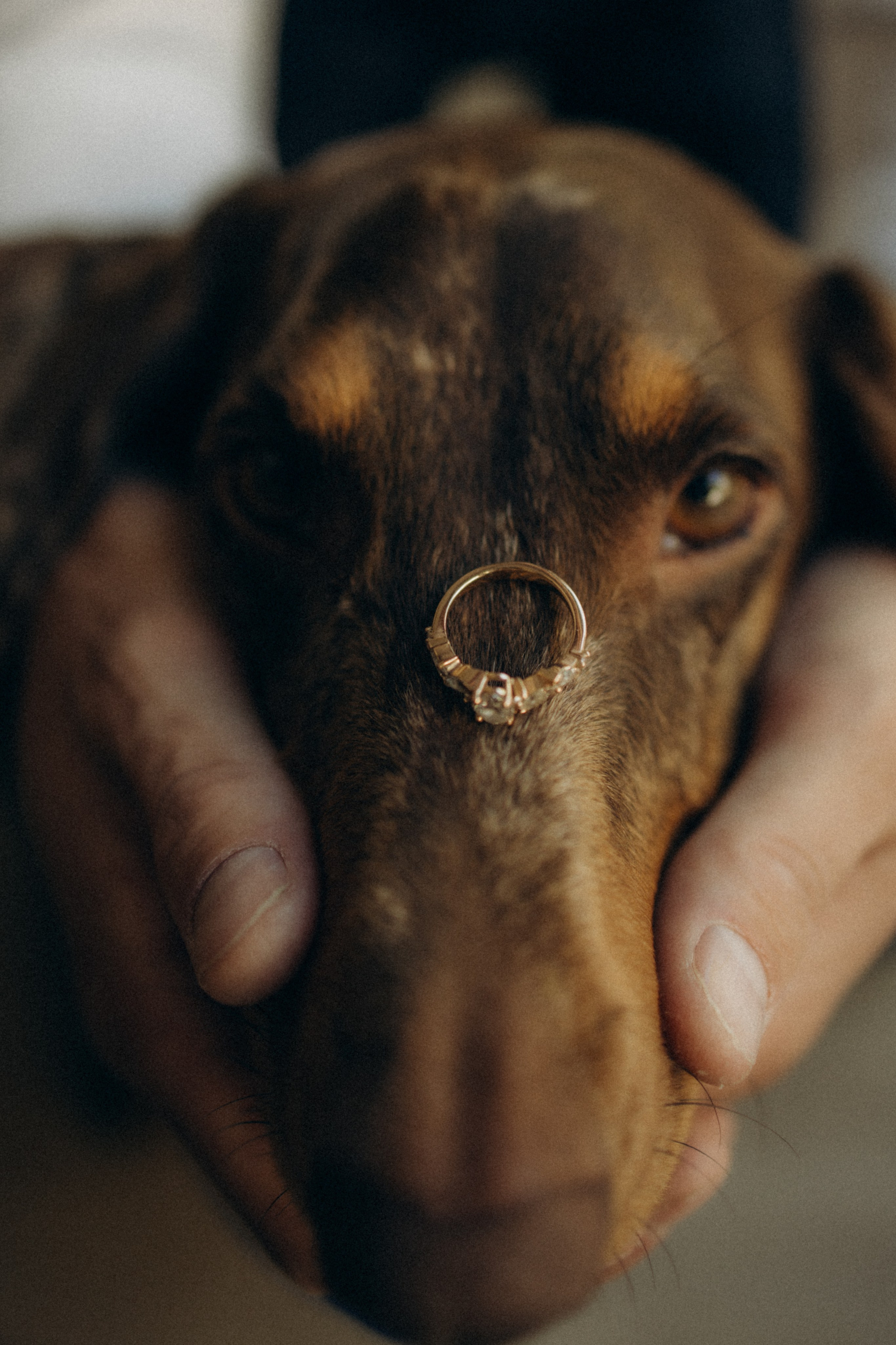 MARIAGE. Семейный фотограф во Франции (Мец, Люксембург)