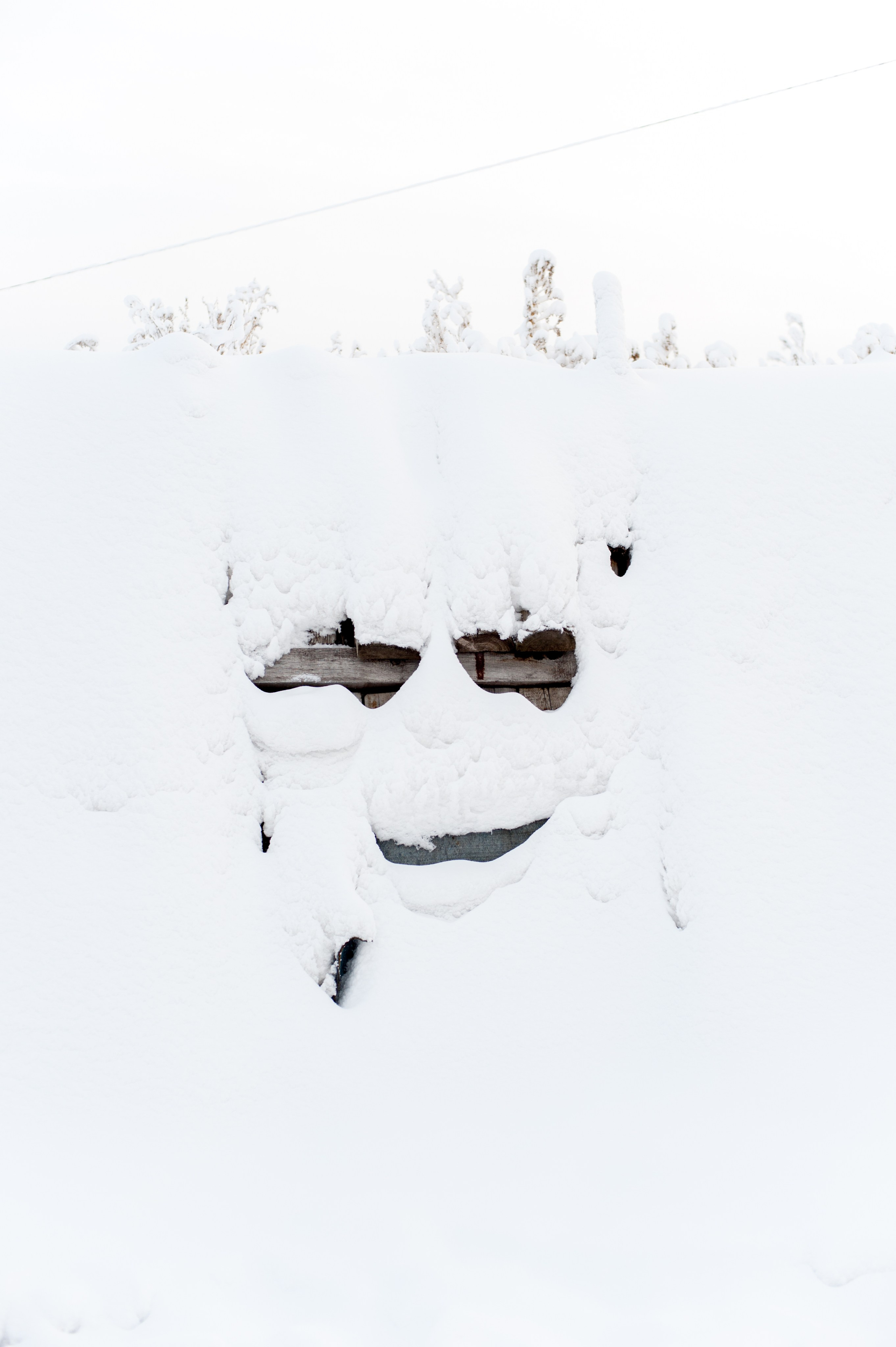 La meilleure saison. Ayar Kuo