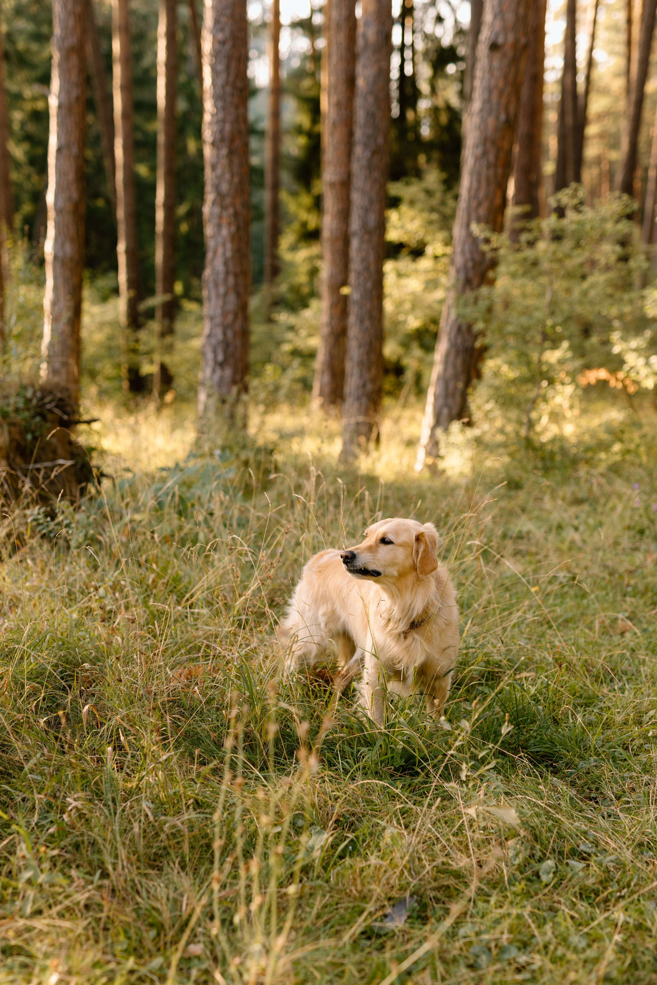 Sanziana, Daniel & Alexandru — Family. Main