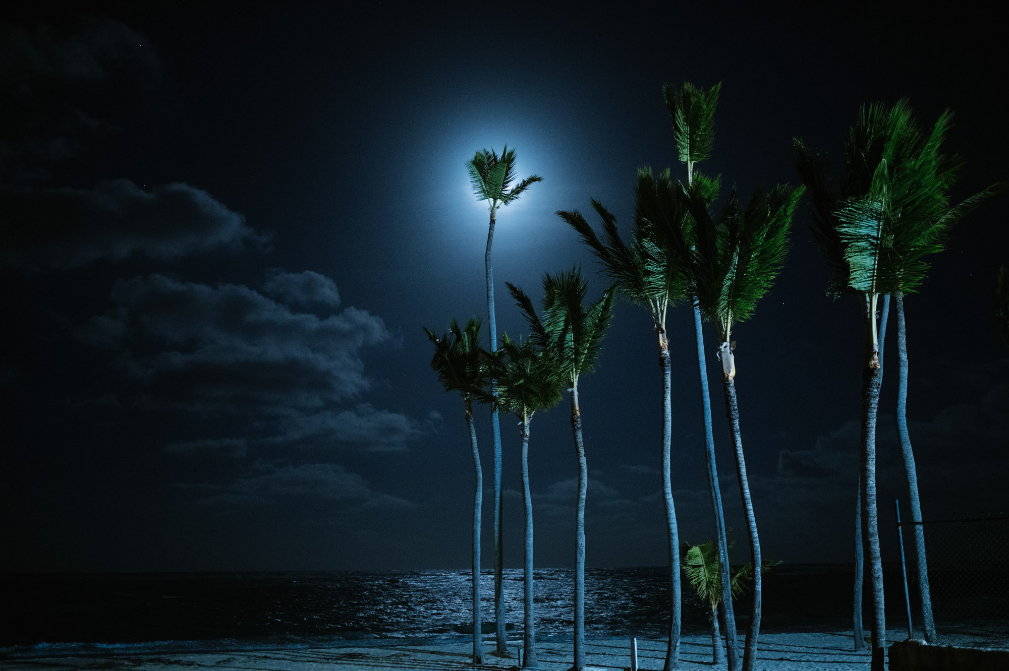 Sabrina and Brendon. Wedding at Kukua