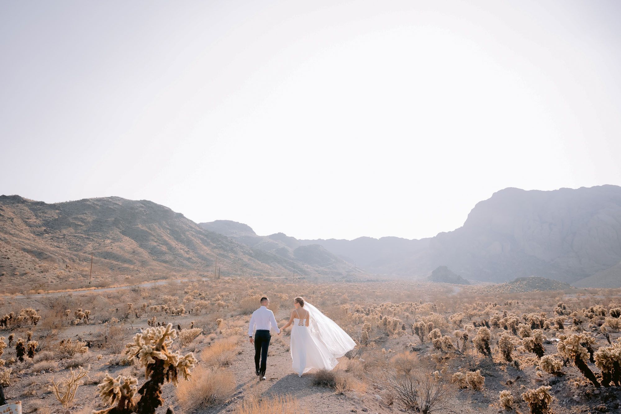 Wedding in Las Vegas