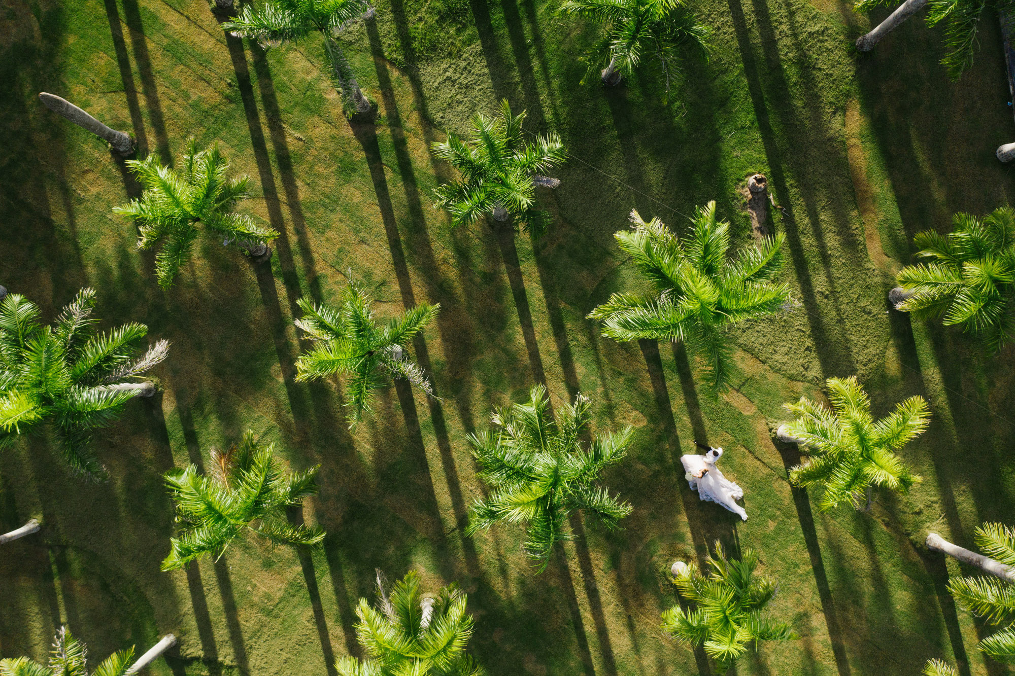 Wedding at Catalytic Sabor in Higüey