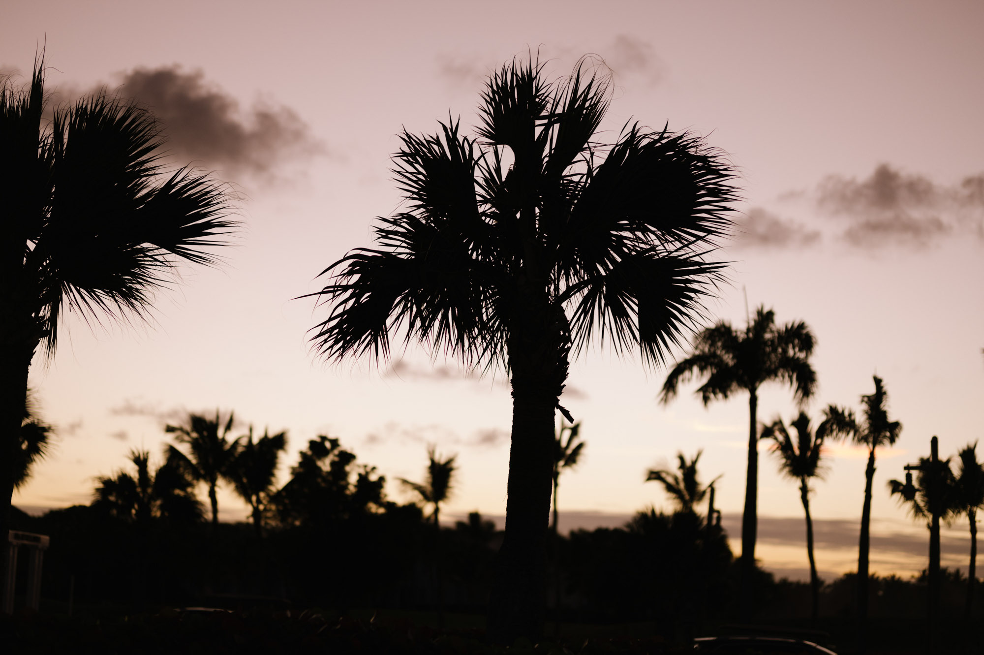 Wedding at Corales Golf Club